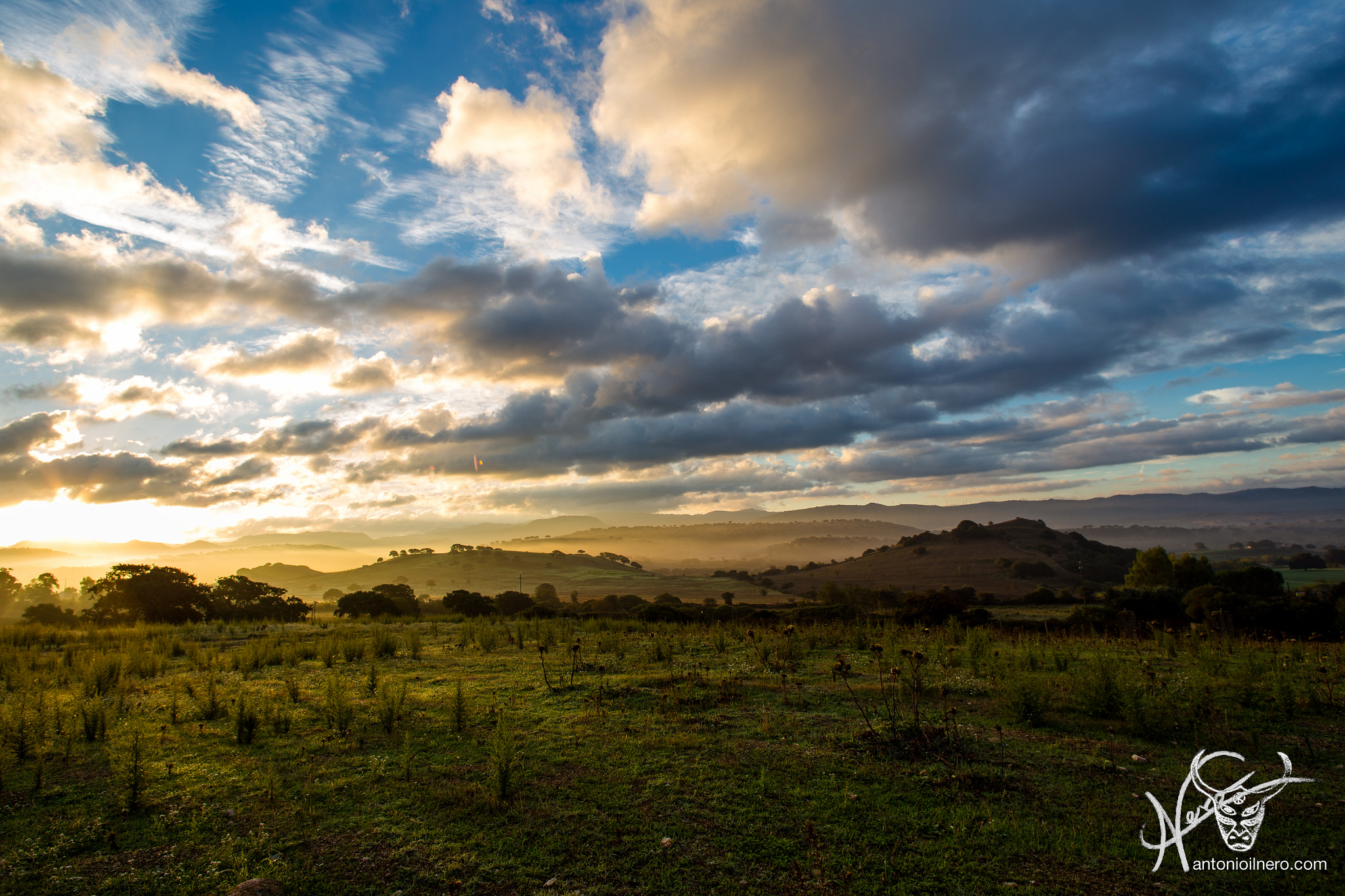Canon EOS 6D + Canon EF 20mm F2.8 USM sample photo. Img photography