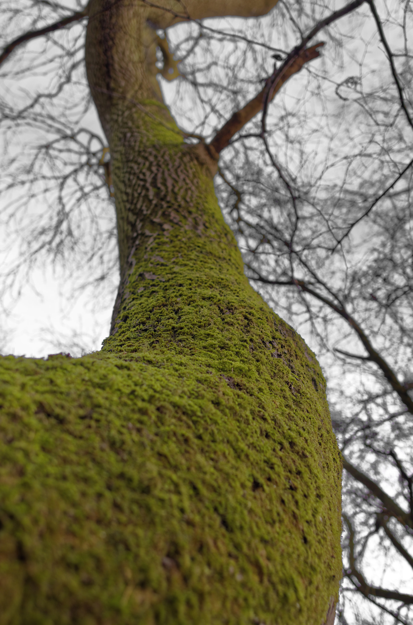 Pentax K-5 + smc PENTAX-F 28mm F2.8 sample photo. Nevermind photography