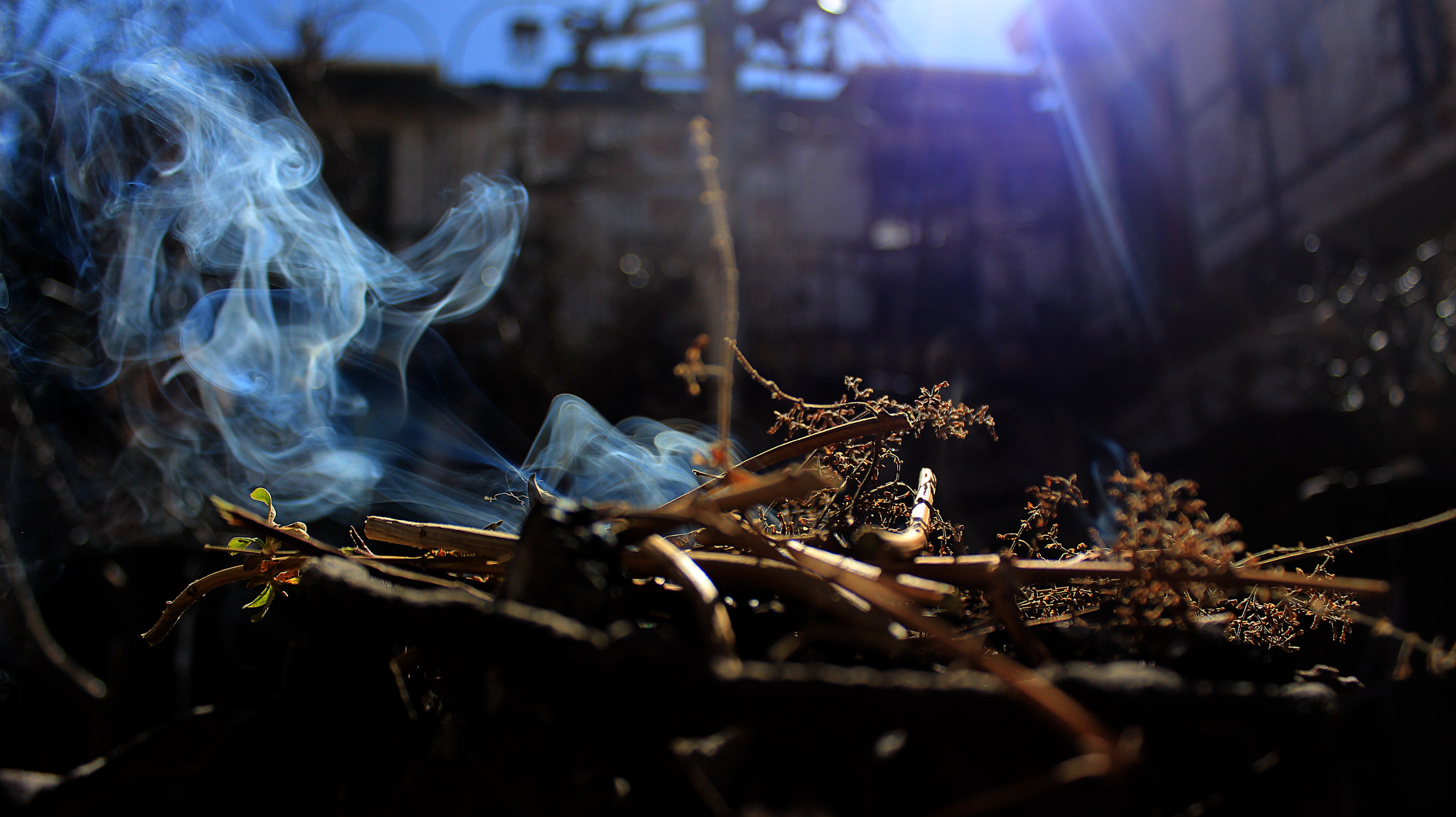 Canon EOS 700D (EOS Rebel T5i / EOS Kiss X7i) sample photo. Koa 2 photography