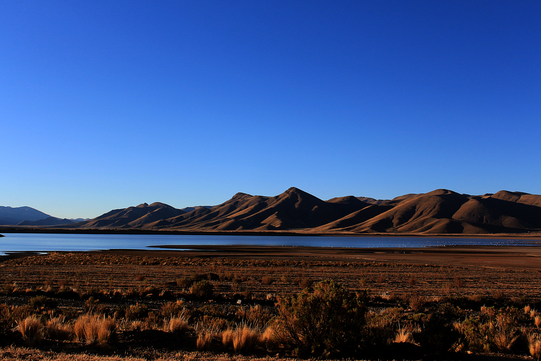 Canon EOS 700D (EOS Rebel T5i / EOS Kiss X7i) sample photo. Lago photography