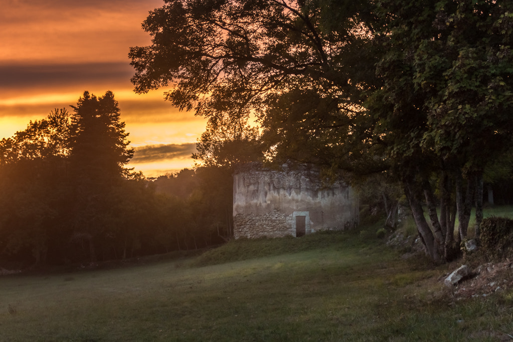 Canon EF 22-55mm f/4-5.6 USM sample photo. Couchant sur la tour photography