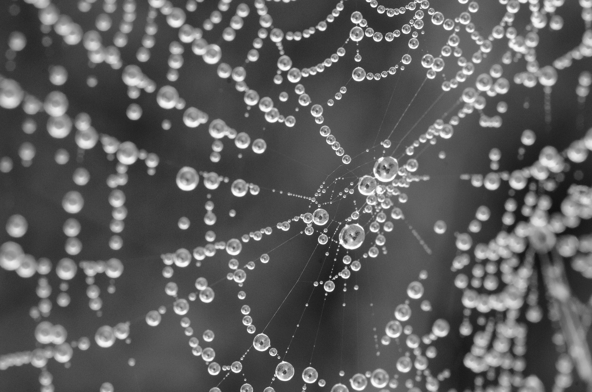 Nikon D7000 + AF Micro-Nikkor 105mm f/2.8 sample photo. Droplets photography