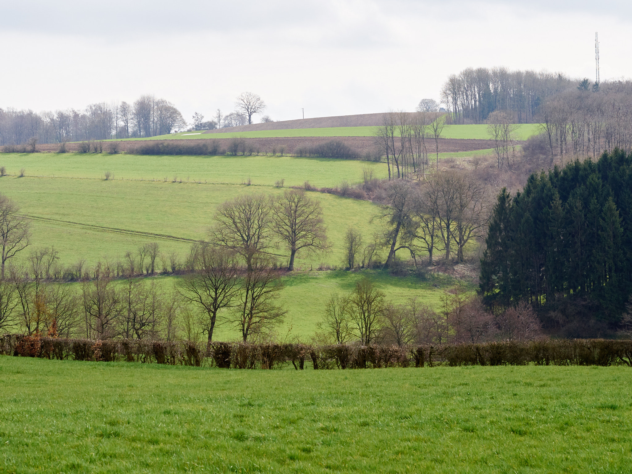Sigma 60mm F2.8 DN Art sample photo. Lines in the landscape photography