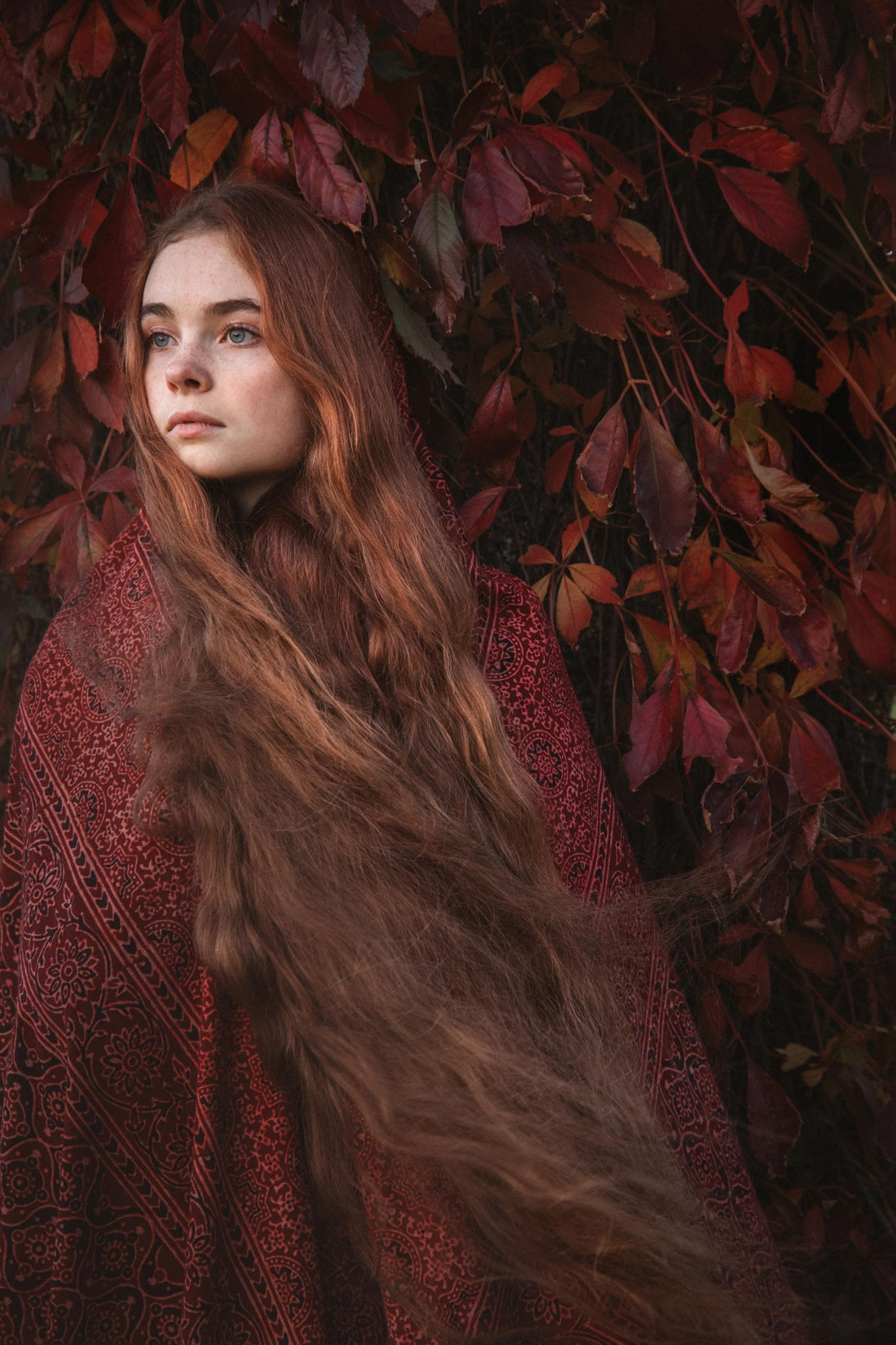 Canon EOS 5D Mark IV + Sigma 24-105mm f/4 DG OS HSM | A sample photo. The autumn cloak photography