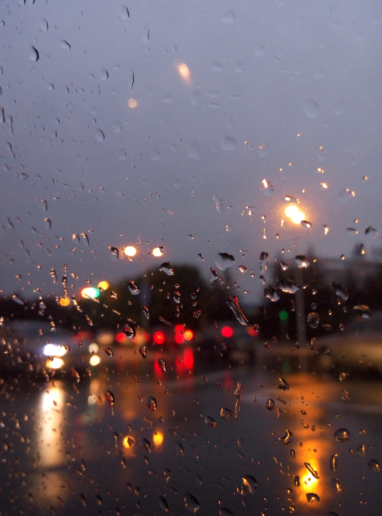 Meizu m1 note sample photo. 雨中寂静 photography
