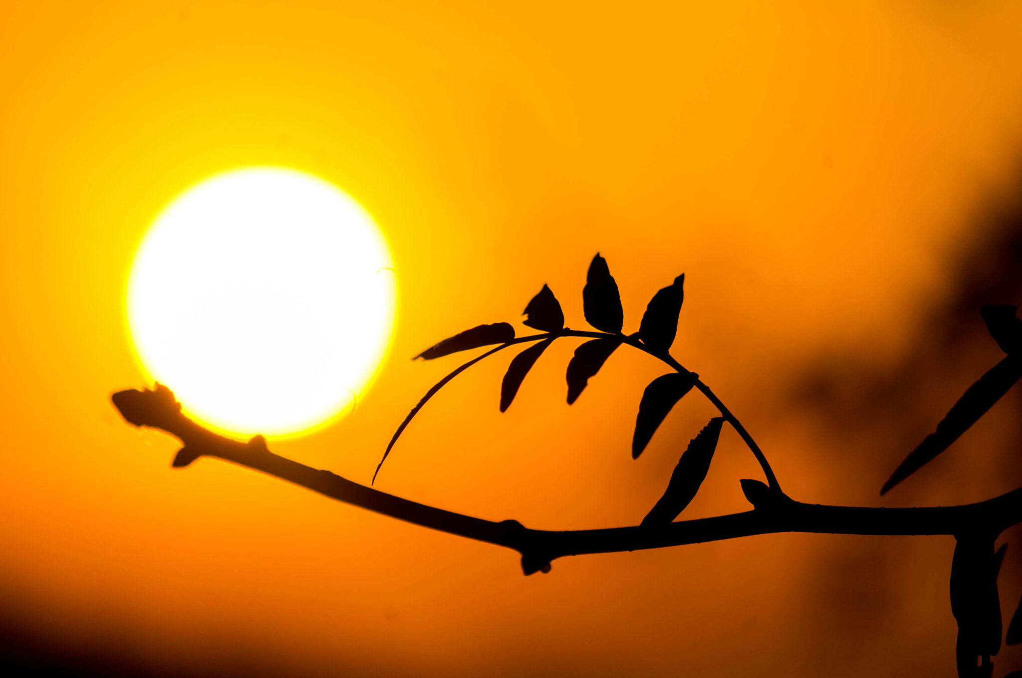 smc PENTAX-DA L 50-200mm F4-5.6 ED sample photo. Sunset photography