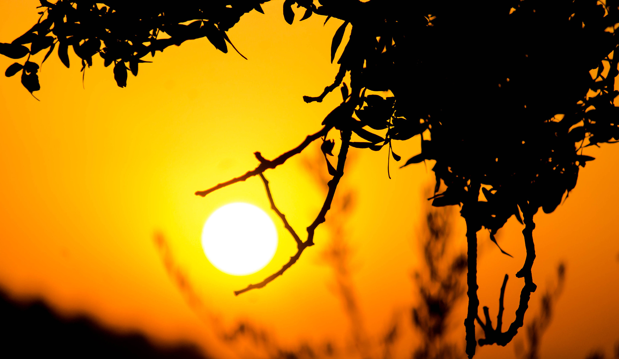 smc PENTAX-DA L 50-200mm F4-5.6 ED sample photo. Sunset photography