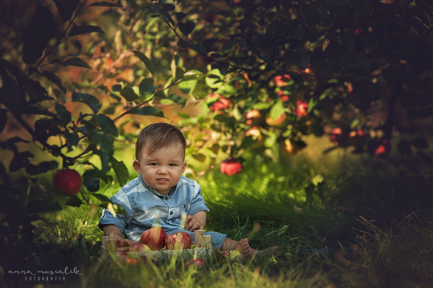 Sigma 70-200mm F2.8 EX DG OS HSM sample photo. Little antek photography