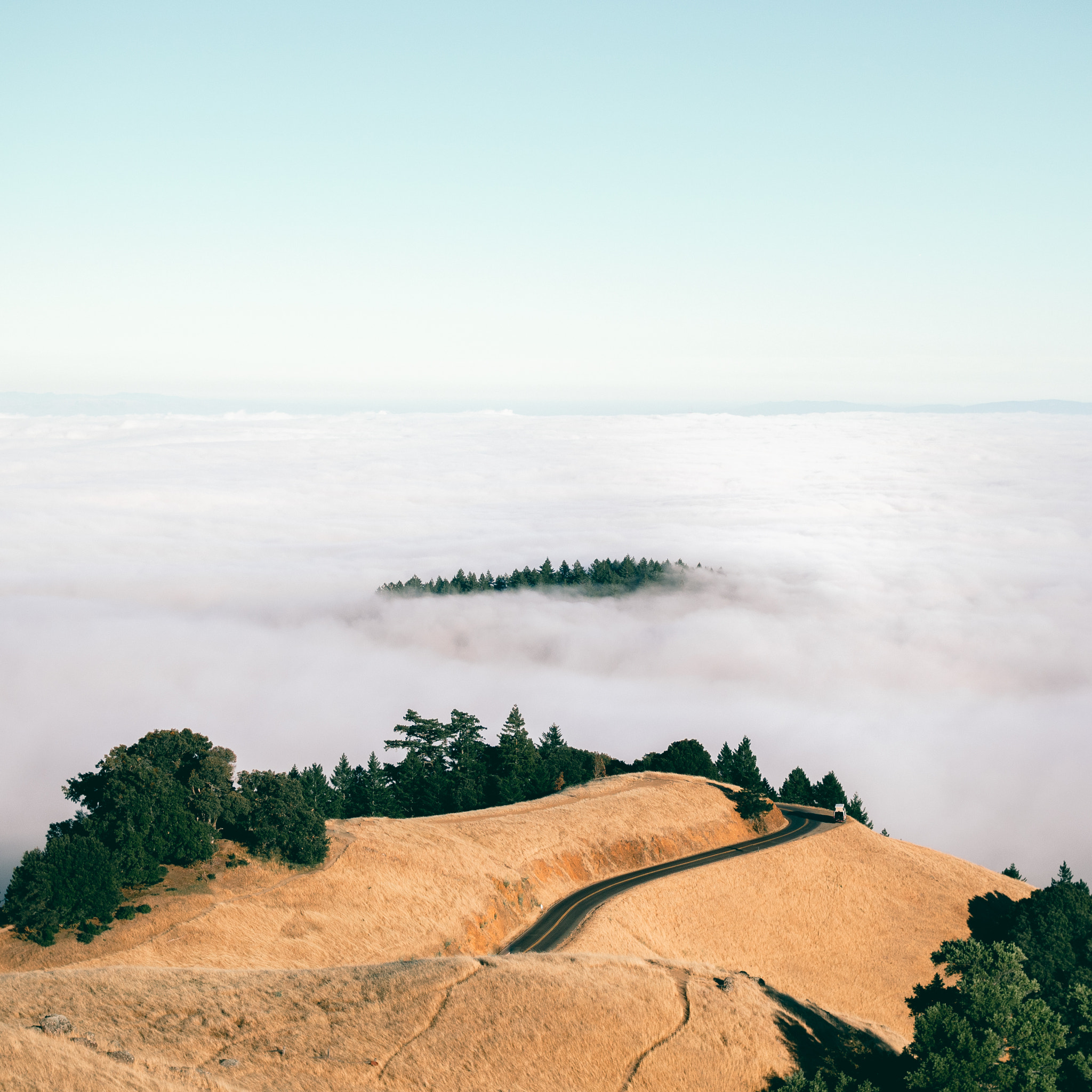 Olympus OM-D E-M5 + Olympus M.Zuiko Digital 25mm F1.8 sample photo. Mt. tam roads photography