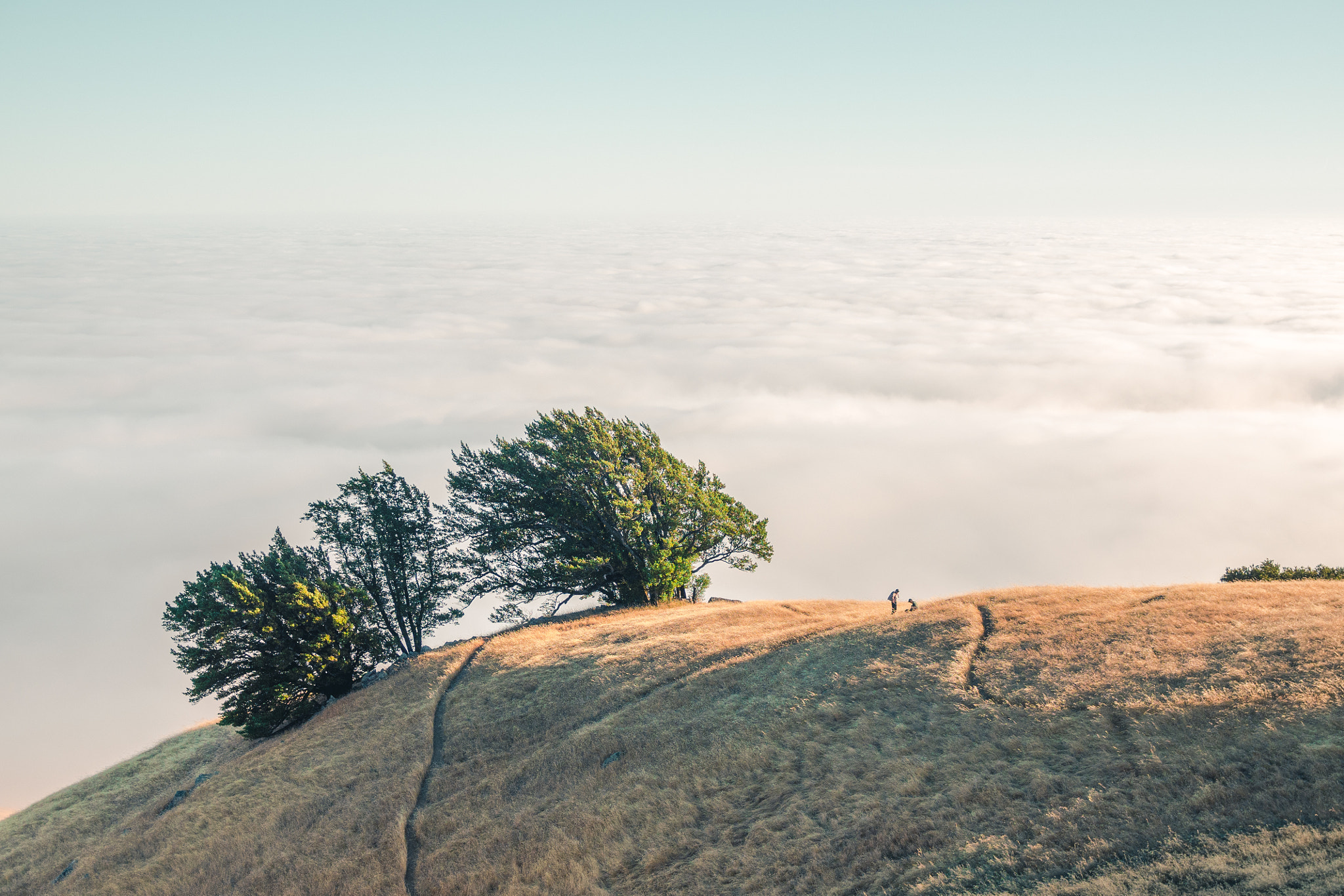 Olympus OM-D E-M5 + Olympus M.Zuiko Digital 25mm F1.8 sample photo. Above the clouds on mt. tam photography
