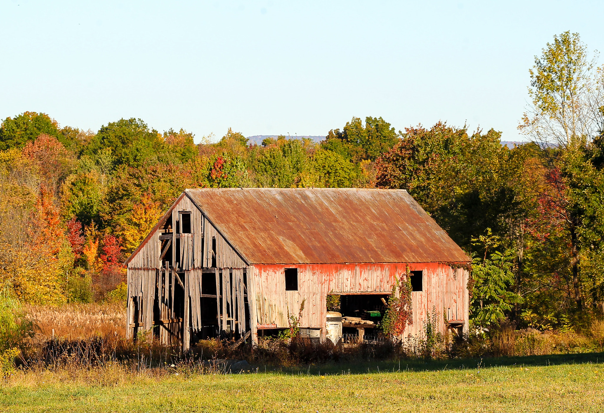 Sigma 120-300mm F2.8 EX DG HSM sample photo. Autumn on the farm photography