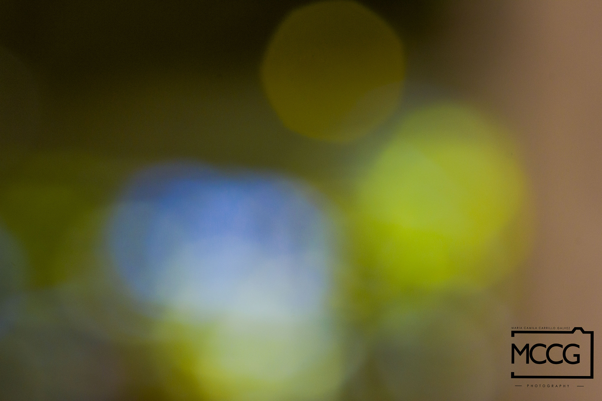 Canon EF 40mm F2.8 STM sample photo. Gamas photography