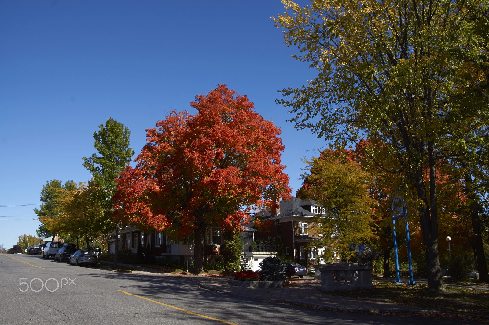 Sony SLT-A65 (SLT-A65V) + DT 18-270mm F3.5-6.3 SSM sample photo. Colors in shawinigan photography