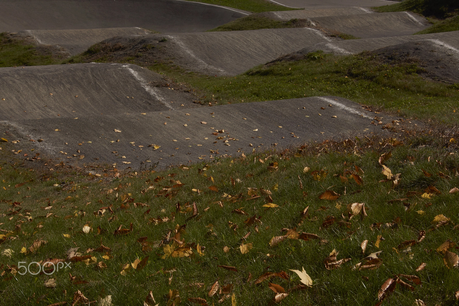 Sony SLT-A65 (SLT-A65V) sample photo. Racing tracks - bmx photography