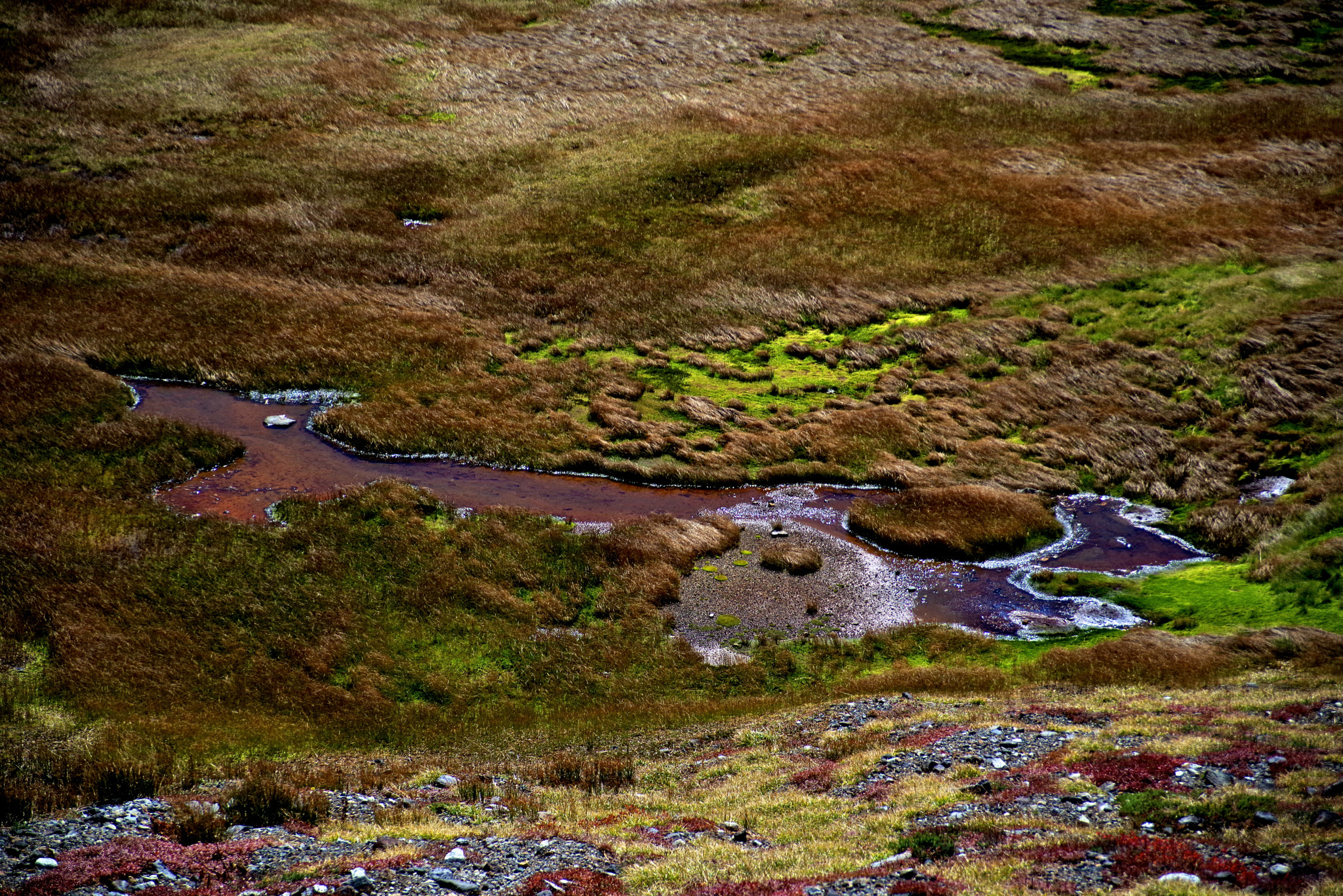 smc PENTAX-FA 28-105mm F4-5.6 [IF] sample photo. Blood pond photography