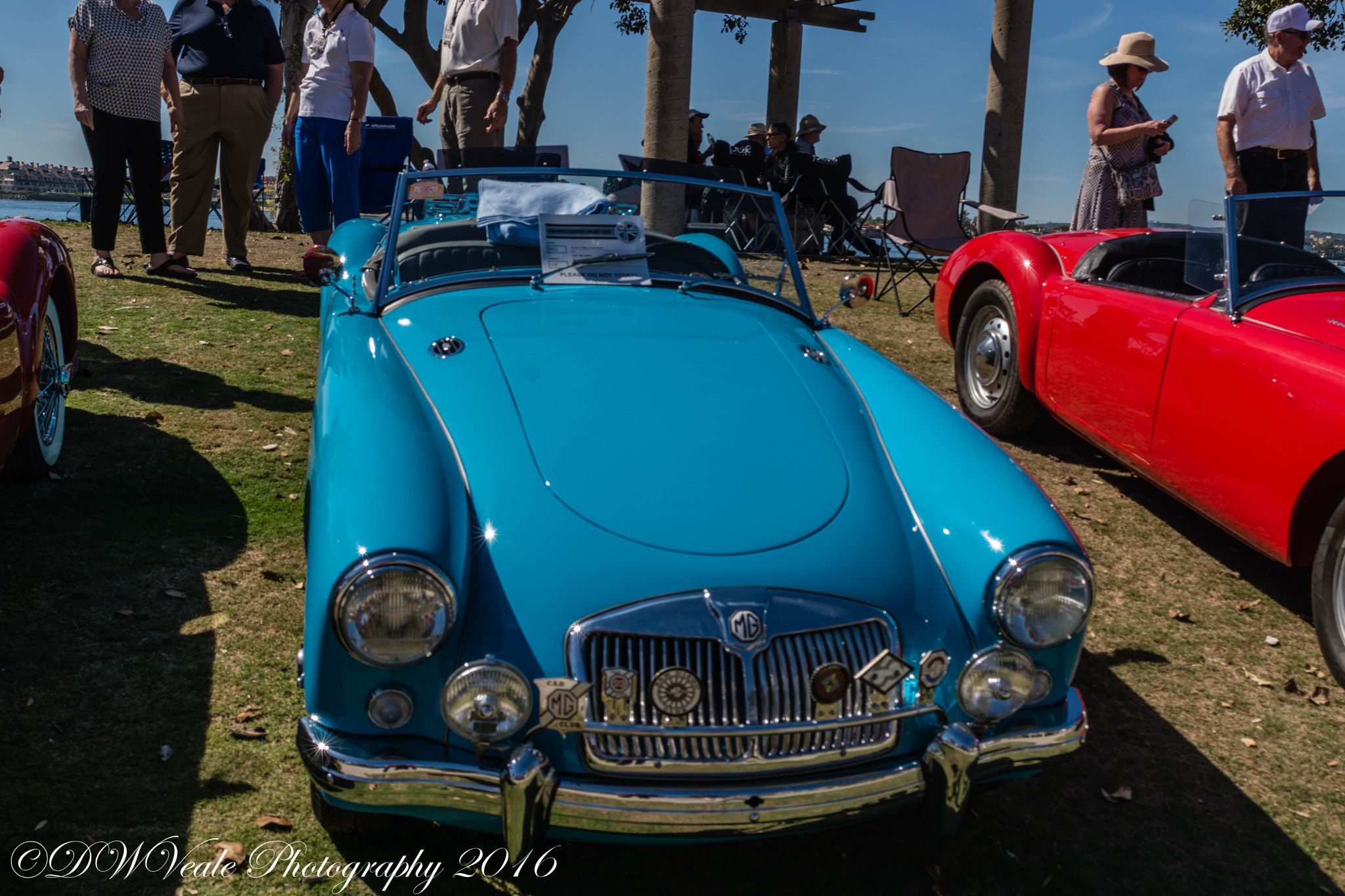 Nikon D7100 + Sigma 24-70mm F2.8 EX DG Macro sample photo. British car show photography