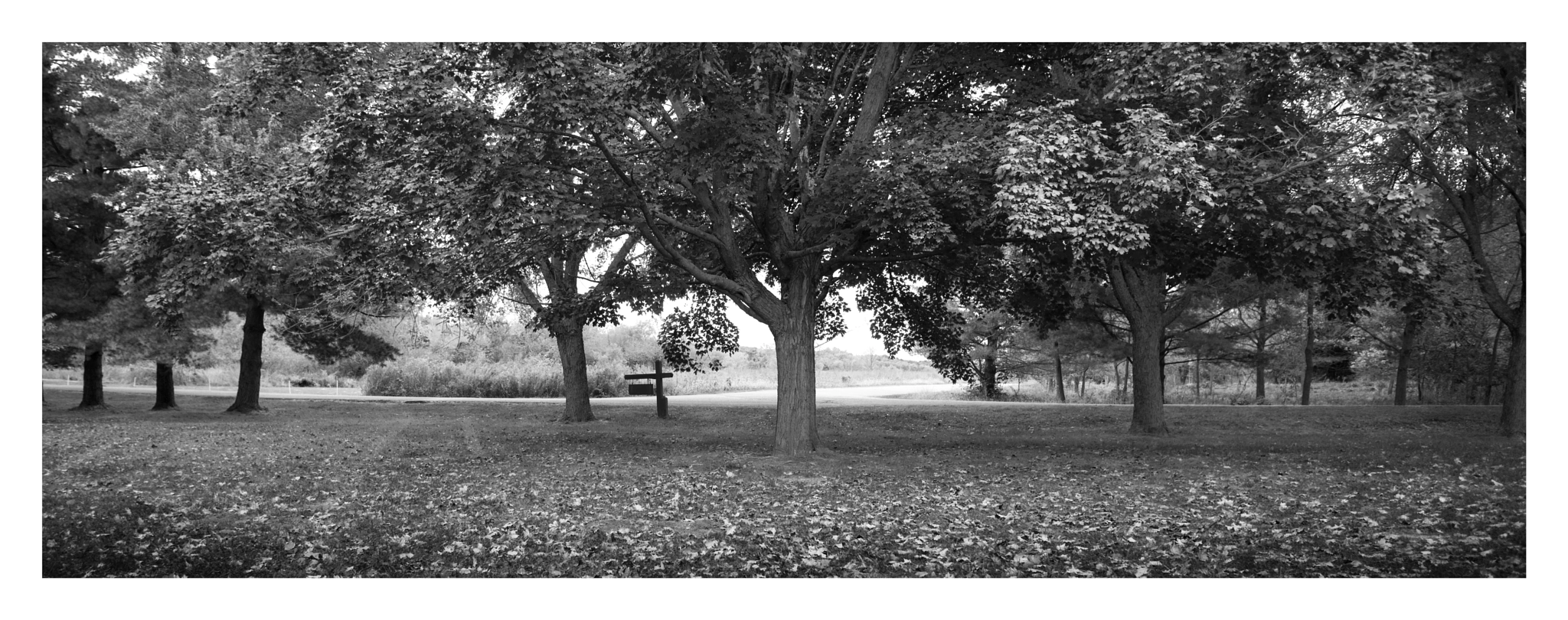 Canon TS-E 24mm f/3.5L sample photo. Fall ... photography