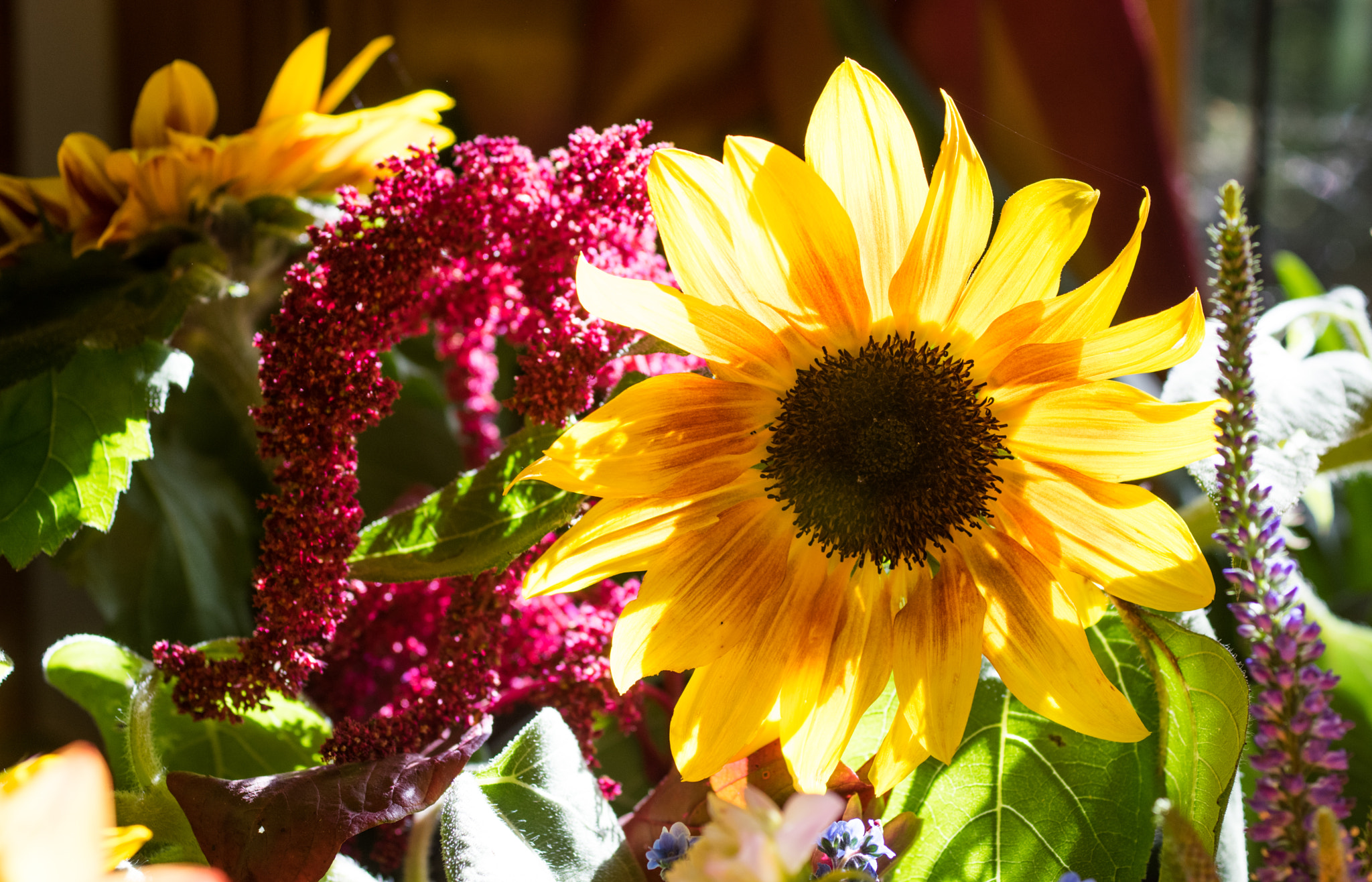 Pentax K-3 sample photo. Flowers photography