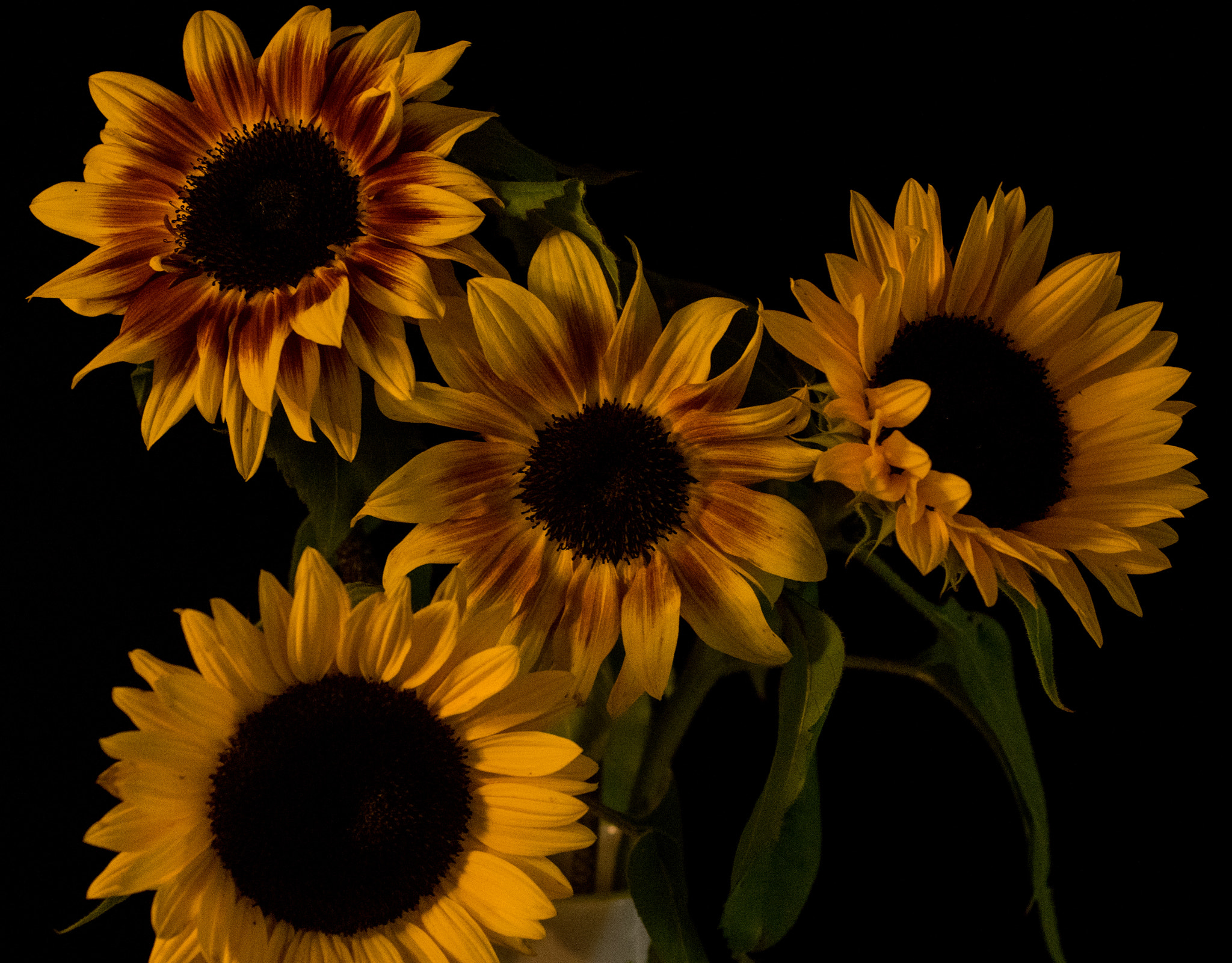 Pentax K-3 sample photo. Sunflowers photography