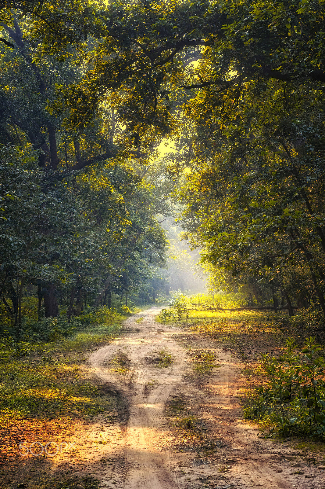 Canon EOS 6D + Tamron SP AF 90mm F2.8 Di Macro sample photo. The endless journey photography