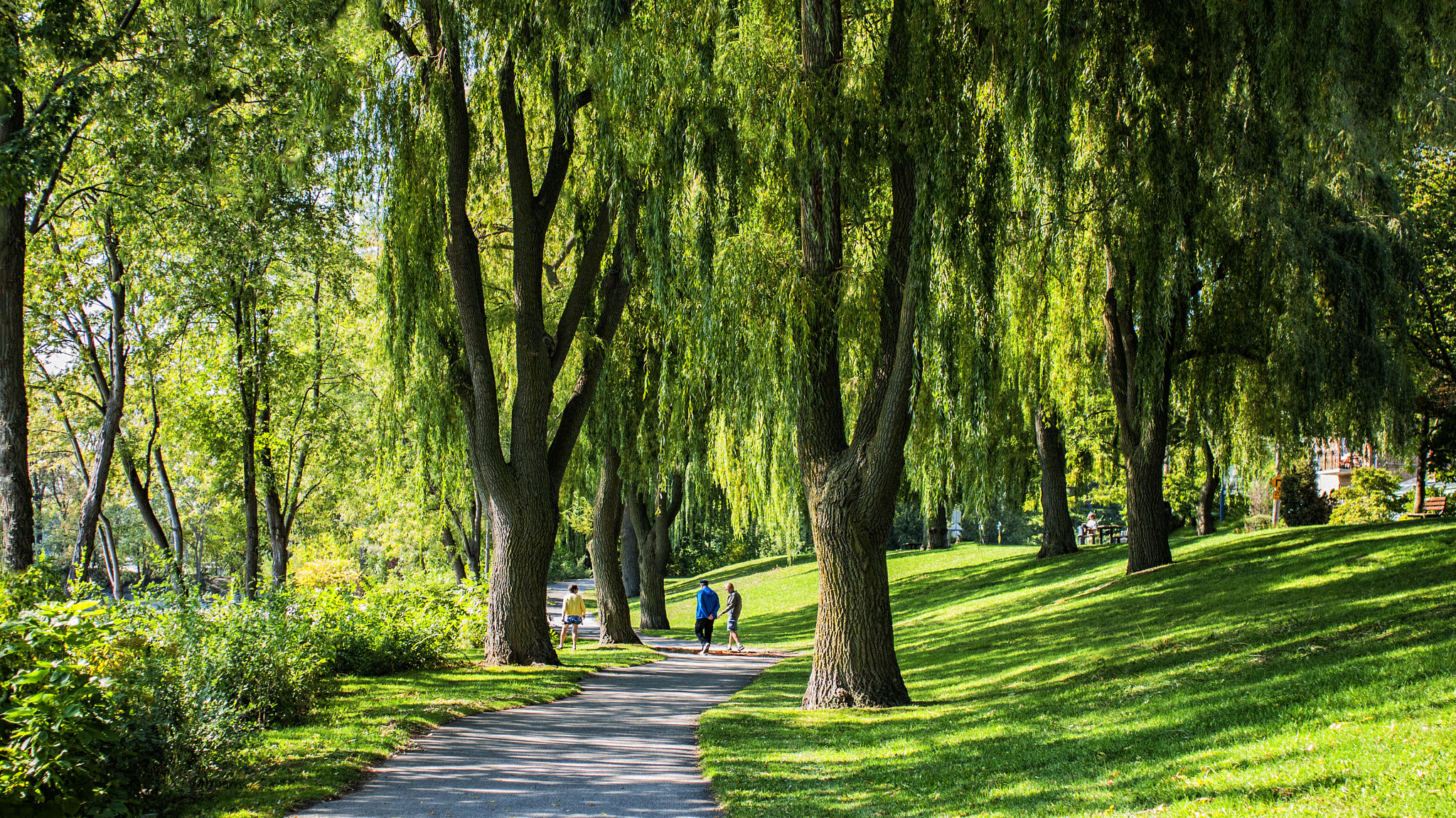 Panasonic Lumix DMC-GF1 + Sigma 30mm F2.8 EX DN sample photo. Lakeshore photography