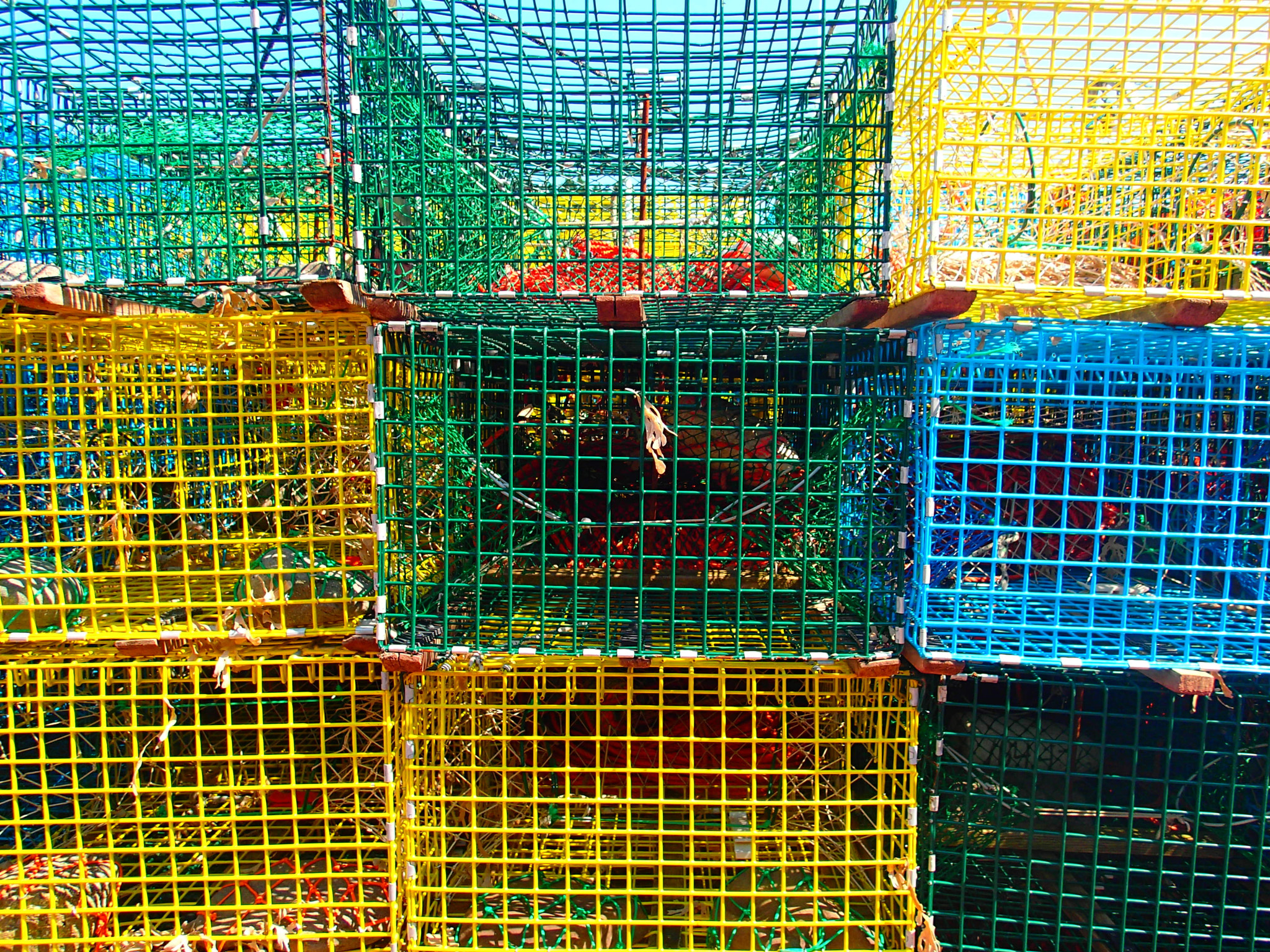 Olympus TG-2 sample photo. Colours! photography