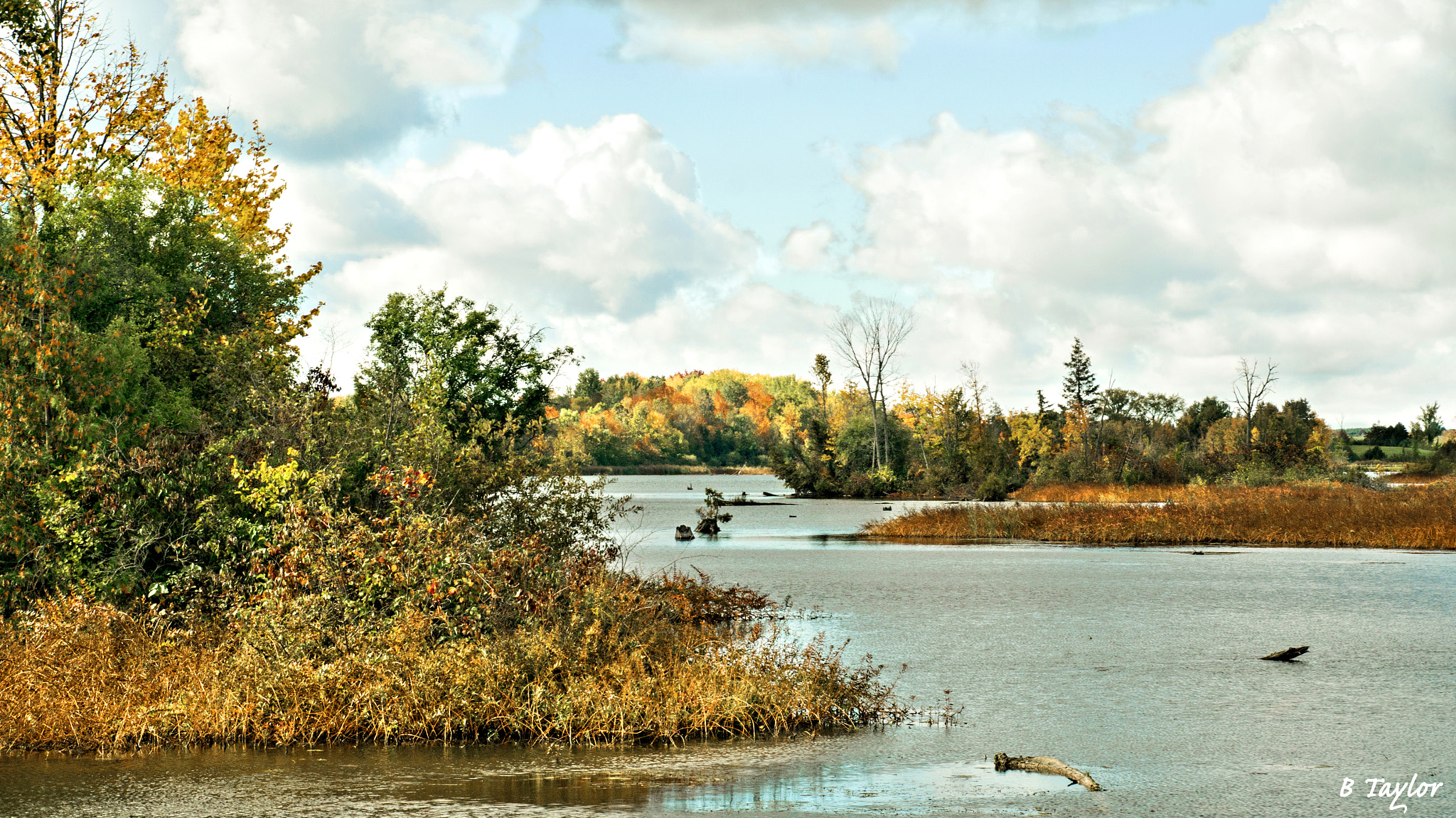 Sony DT 18-135mm F3.5-5.6 SAM sample photo. Fall wetlands photography