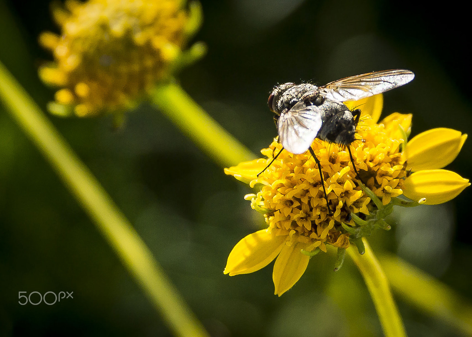 Tamron AF 18-200mm F3.5-6.3 XR Di II LD Aspherical (IF) Macro sample photo. Up close at carlsbad caverns photography