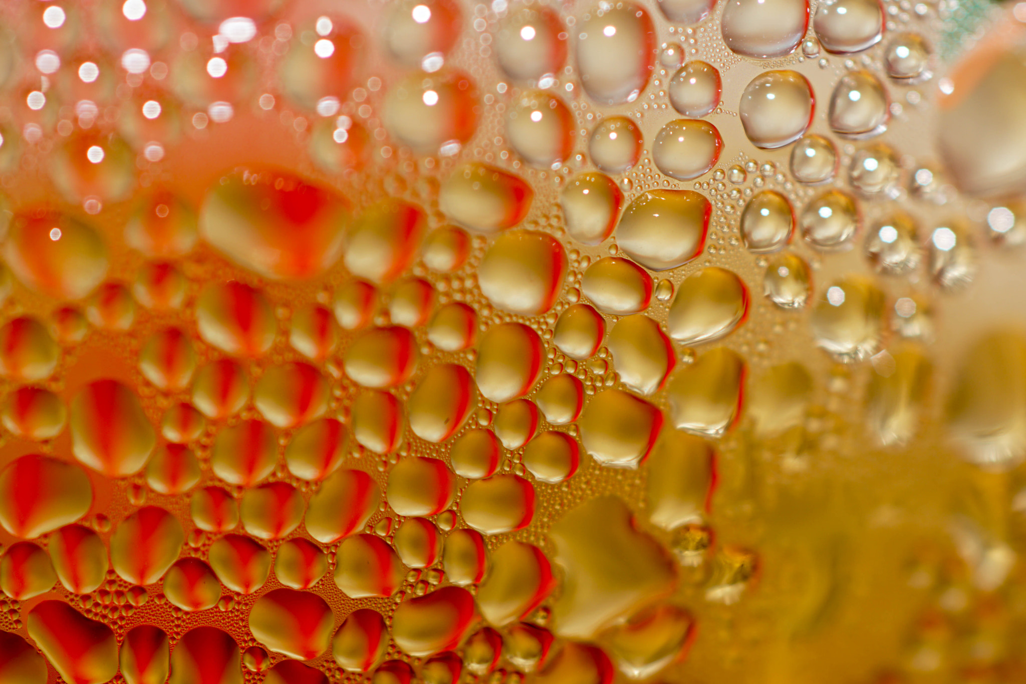 Sony SLT-A68 + MACRO 50mm F2.8 sample photo. Drops photography