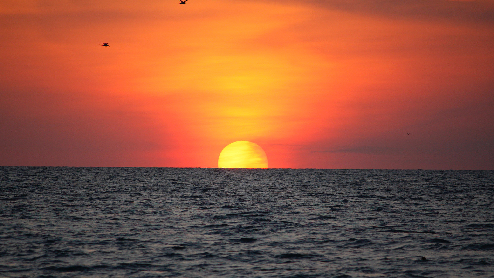 Canon EF-S 55-250mm F4-5.6 IS sample photo. Anna marie island sunset photography