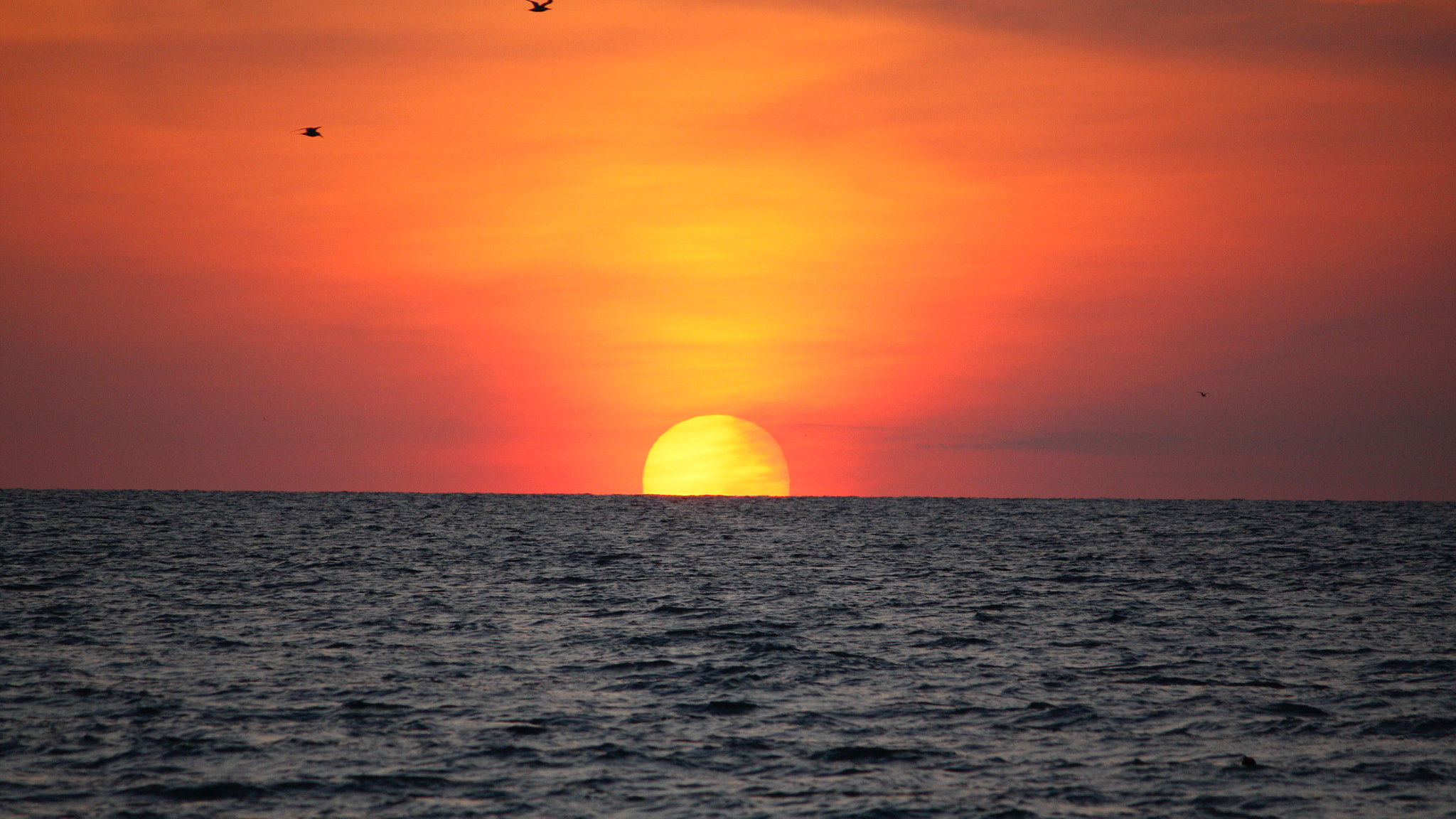 Canon EOS 450D (EOS Rebel XSi / EOS Kiss X2) + Canon EF-S 55-250mm F4-5.6 IS sample photo. Anna marie island sunset photography