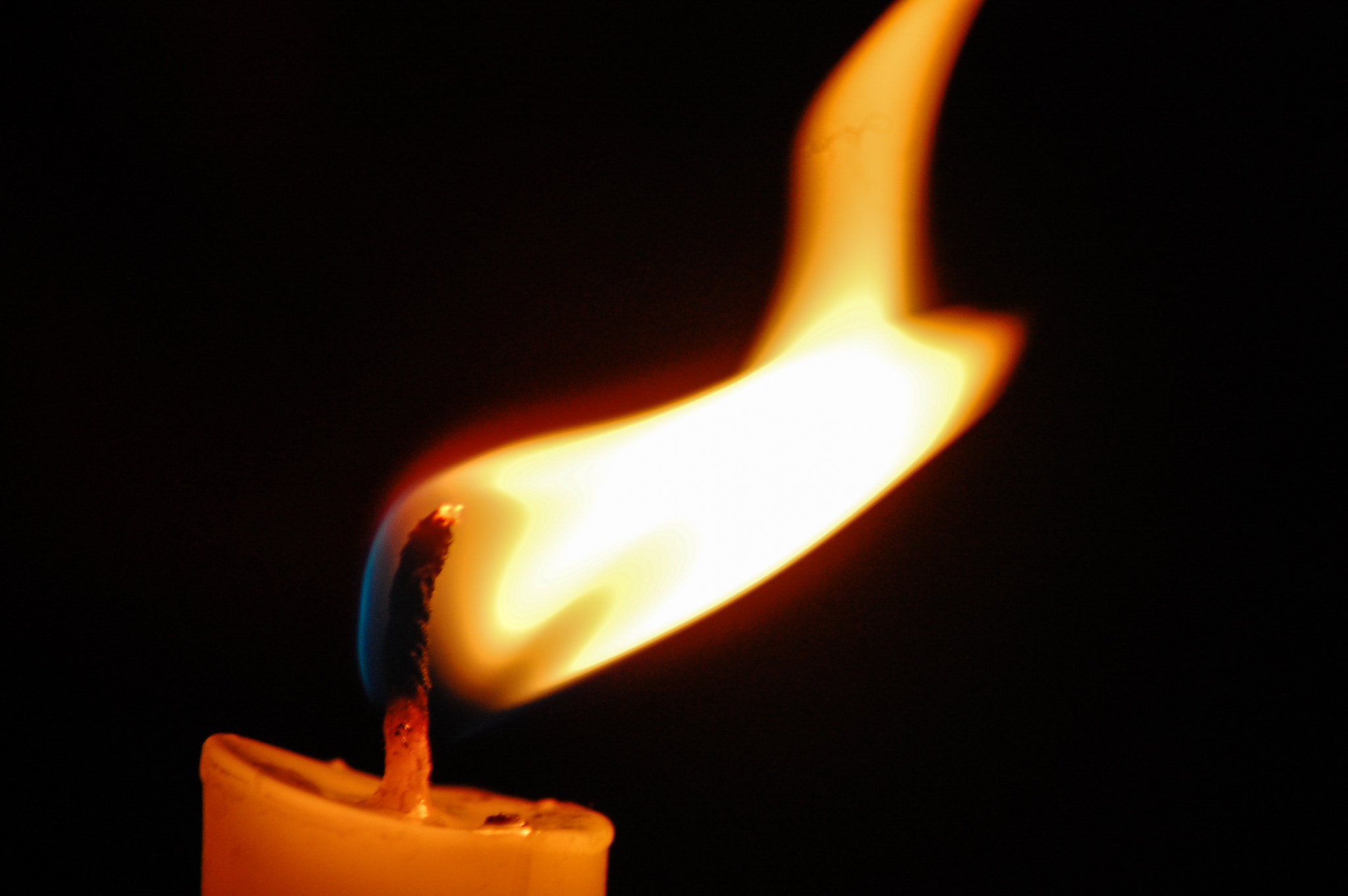 Nikon D40 sample photo. Be the flame photography