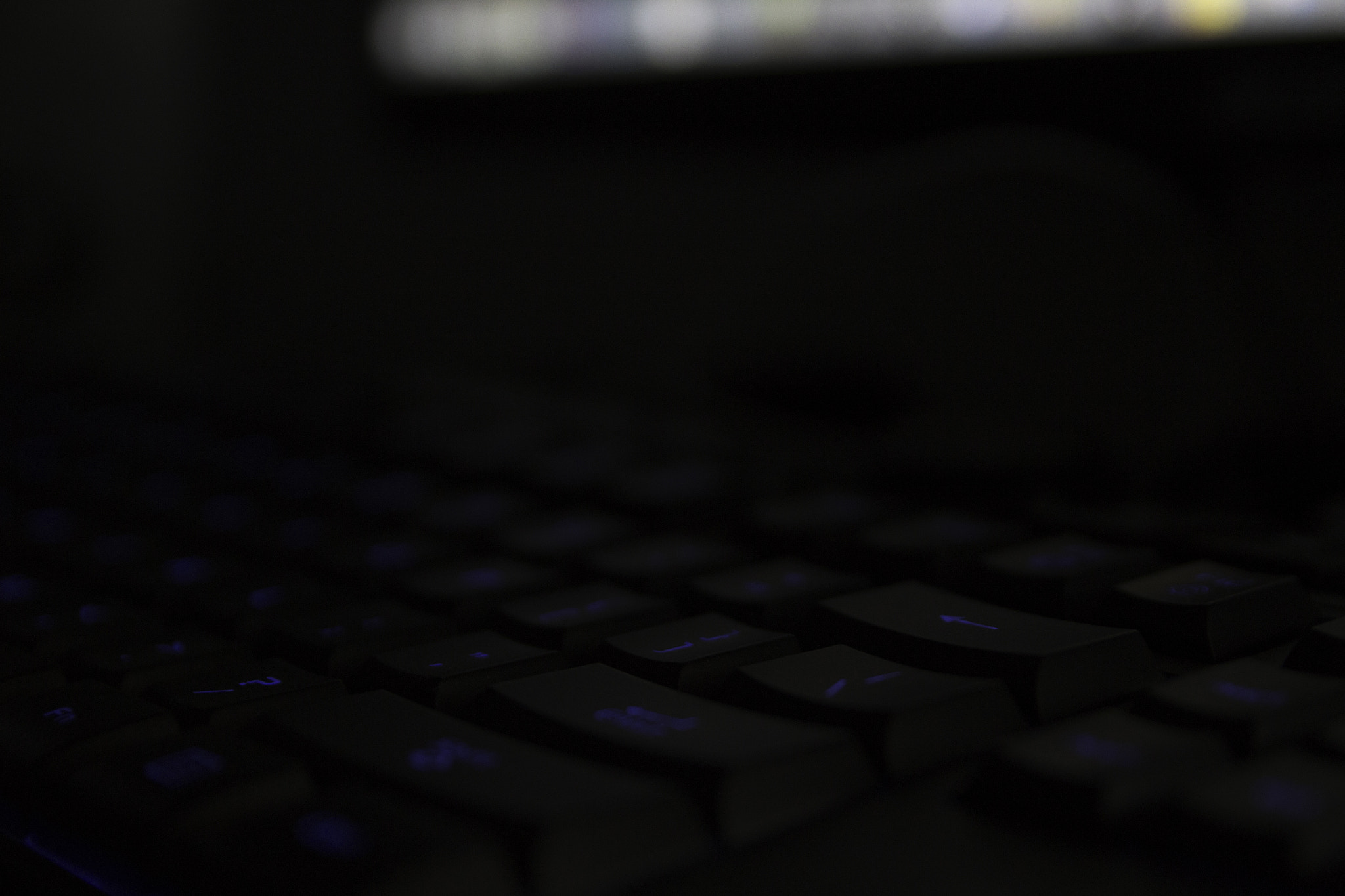 Sigma 18-50mm f/2.8 Macro sample photo. 42.jpg photography