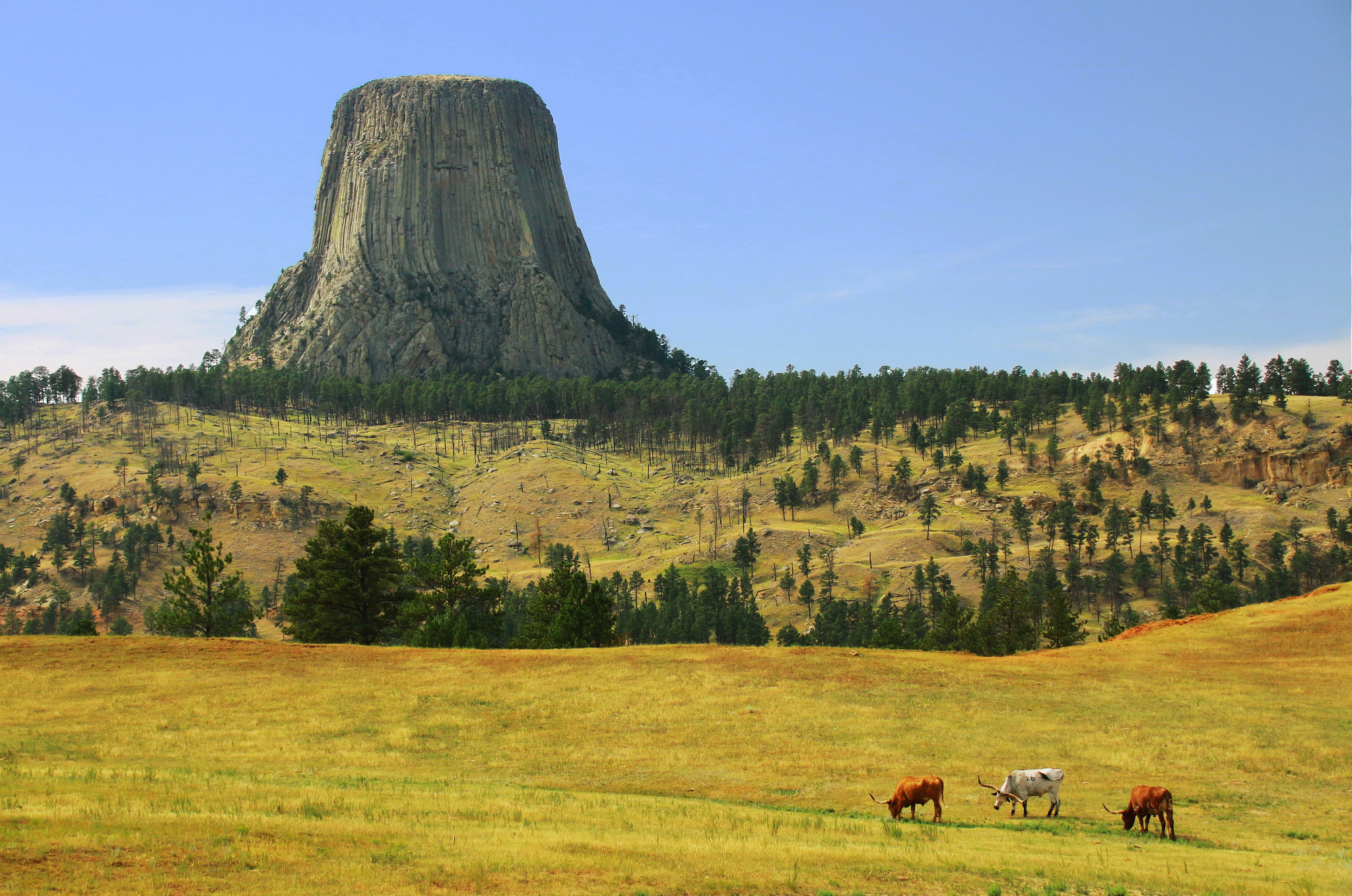 Canon EF 75-300mm F4.0-5.6 IS USM sample photo. Peace at the devils tower photography