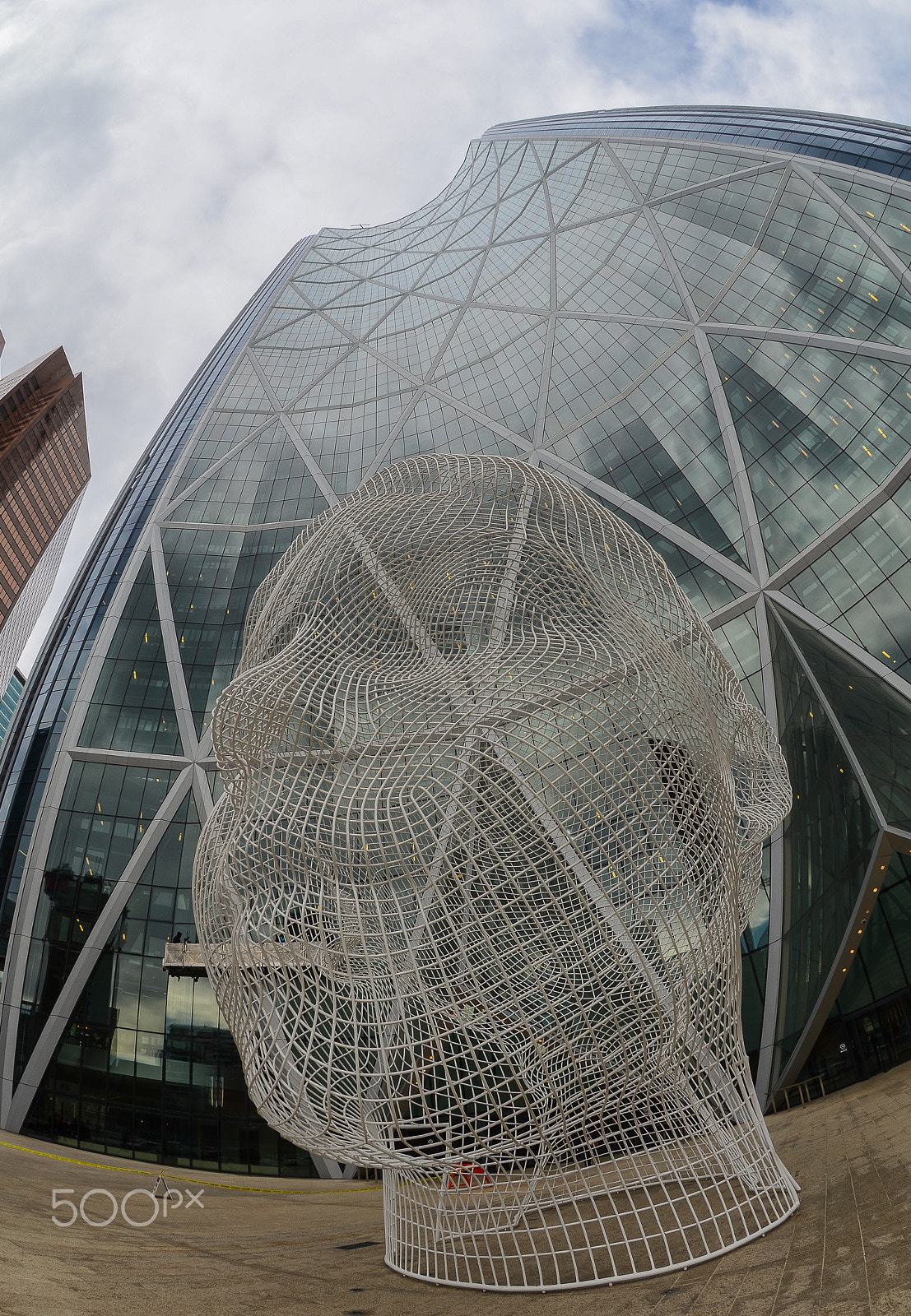 Nikon AF DX Fisheye-Nikkor 10.5mm F2.8G ED sample photo. The eye photography