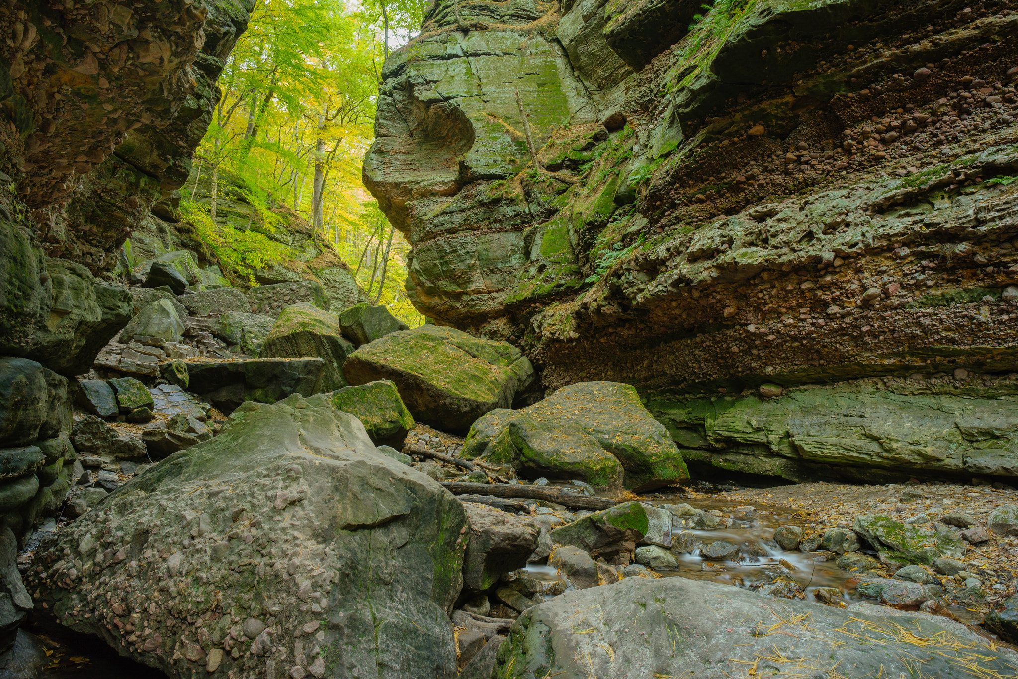 Sony a7R sample photo. Upper parfrey's glen photography