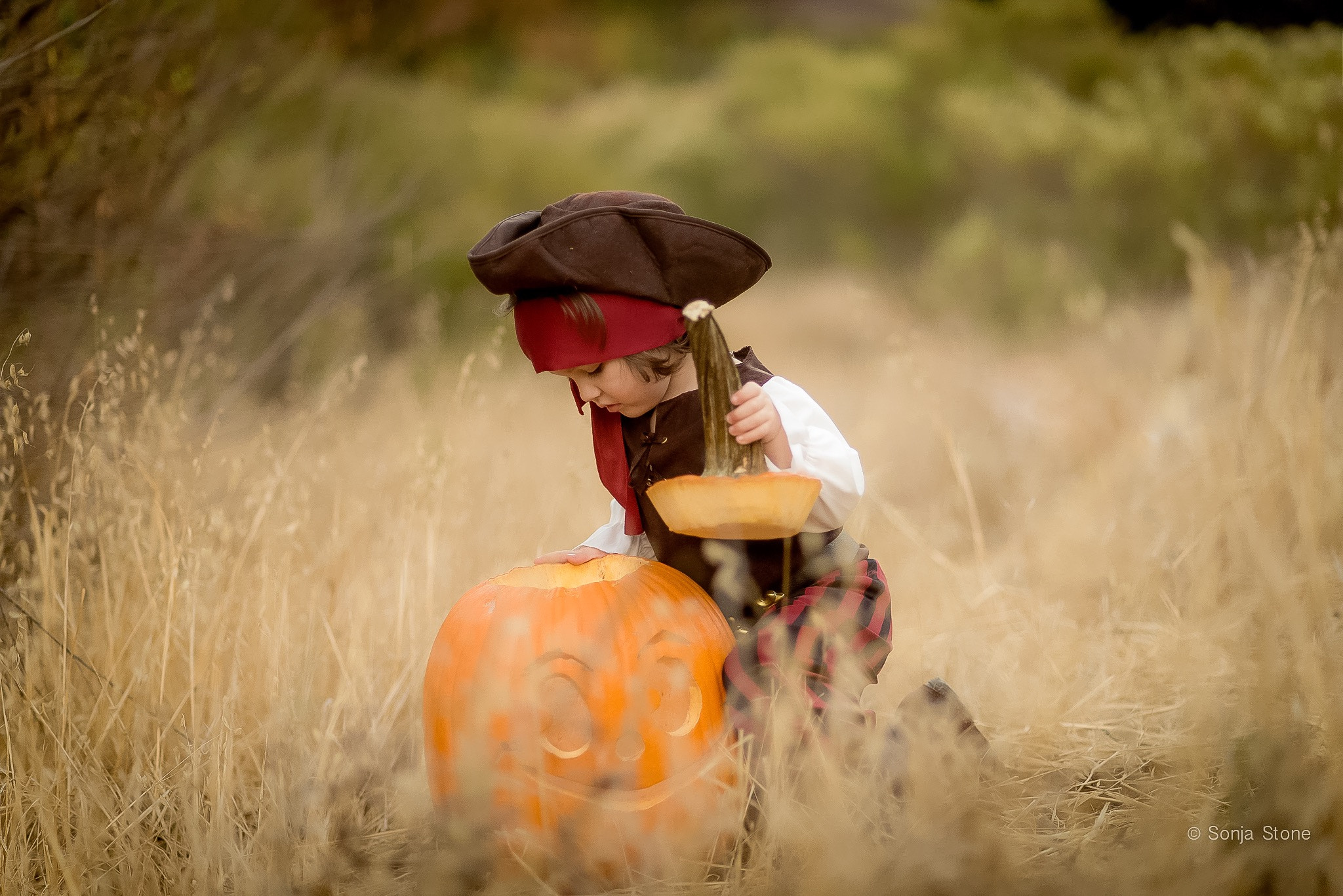 Nikon D600 + AF Nikkor 85mm f/1.8 sample photo. The pirate and the pumpkin photography