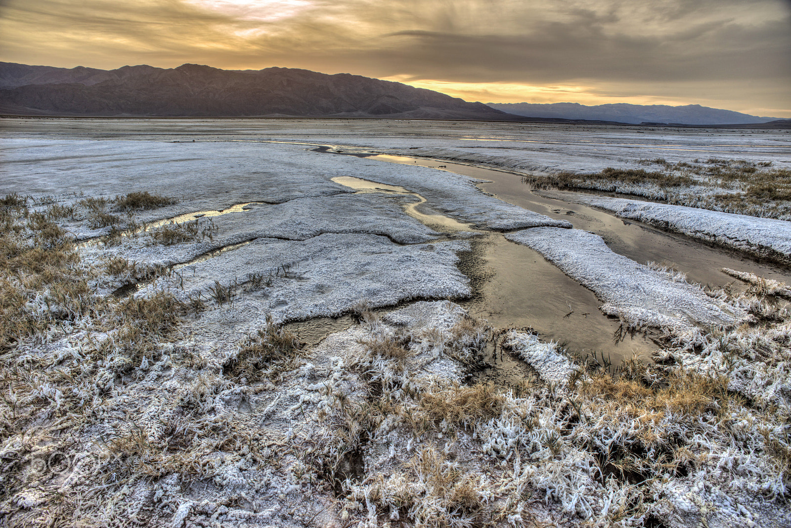 Nikon D800 + Nikon AF Nikkor 20mm F2.8D sample photo. Salt marsh photography