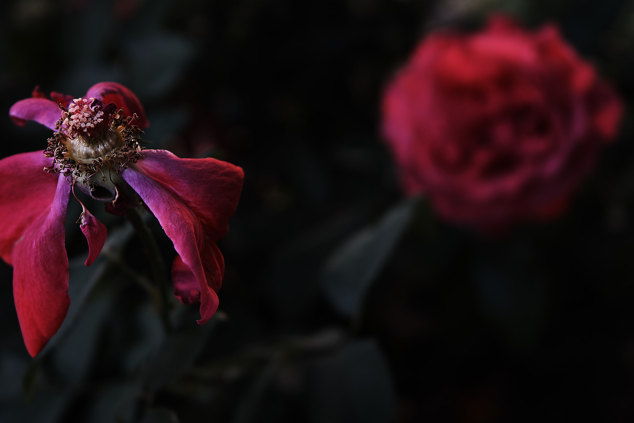 Sony FE 28-70mm F3.5-5.6 OSS sample photo. Exposed photography