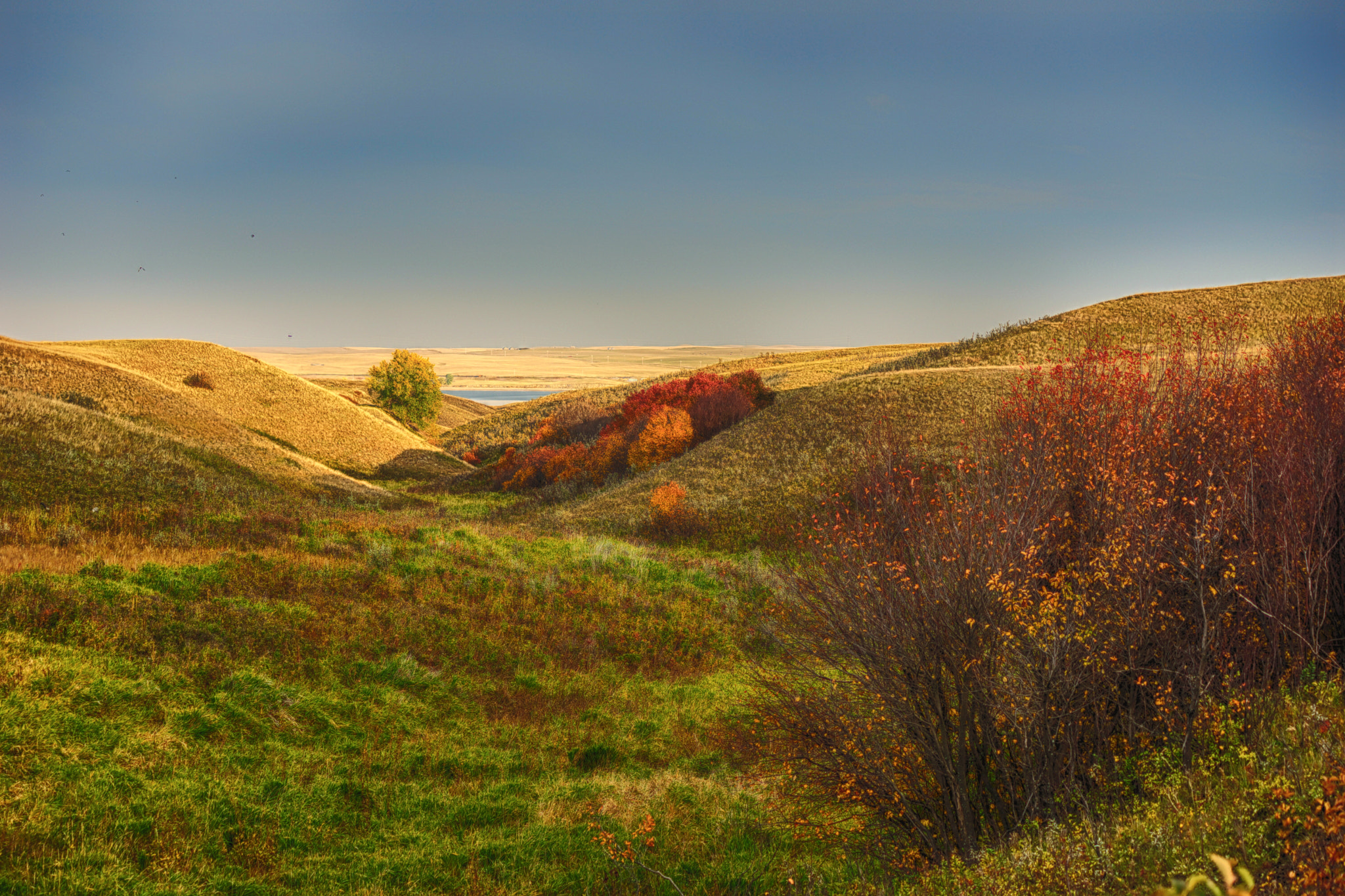 Sony SLT-A65 (SLT-A65V) + Sony DT 55-200mm F4-5.6 SAM sample photo. Between the coulees photography