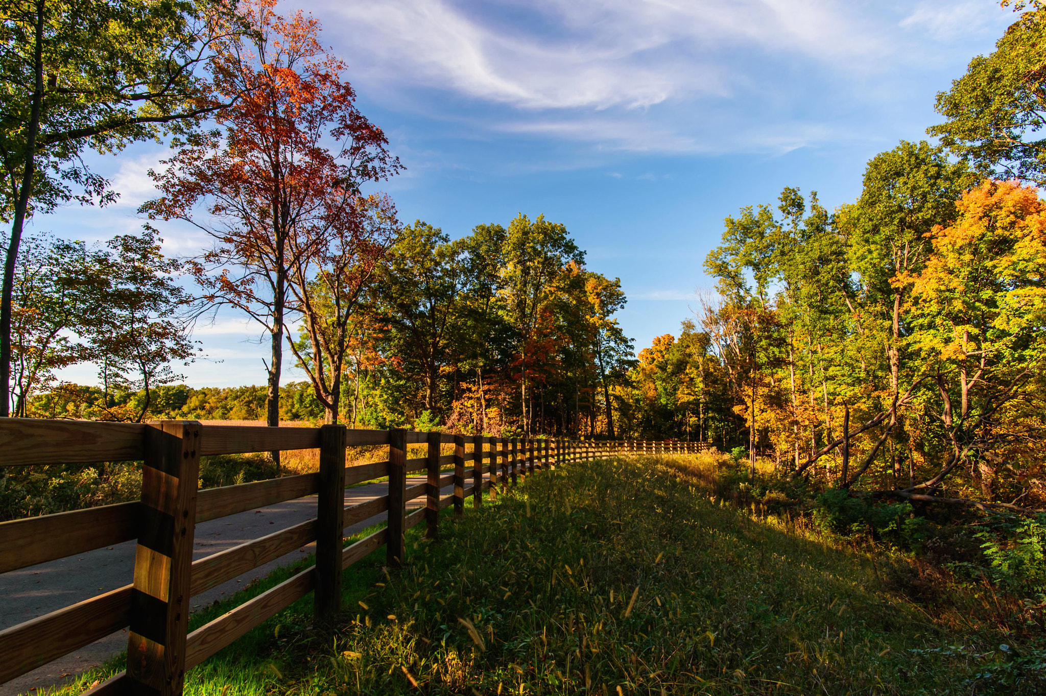 Nikon Df sample photo. Fall color photography