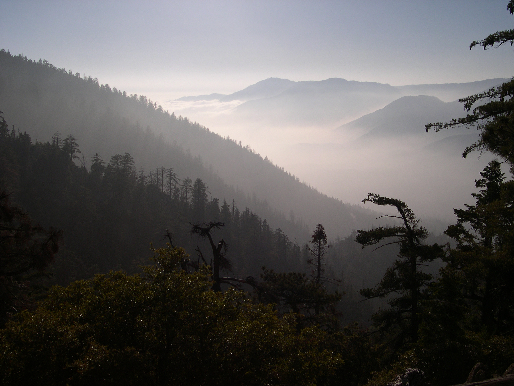 Nikon E4300 sample photo. San gorgonio mountains photography