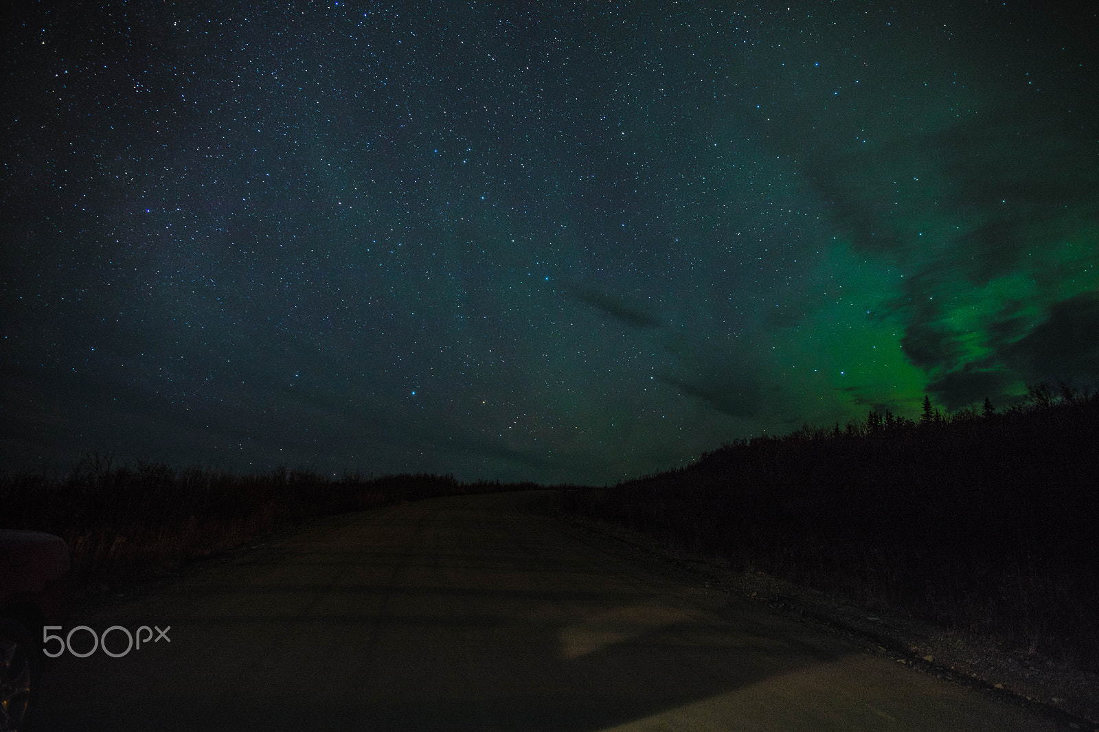 Canon EF 400mm f/2.8L sample photo. There is a green storm ahead! photography