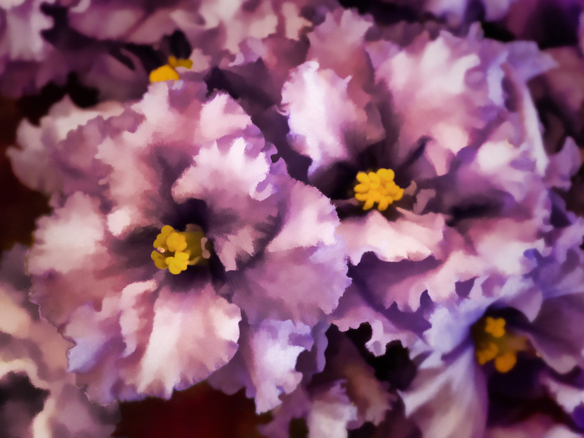 Olympus M.Zuiko Digital ED 60mm F2.8 Macro sample photo. African violets photography