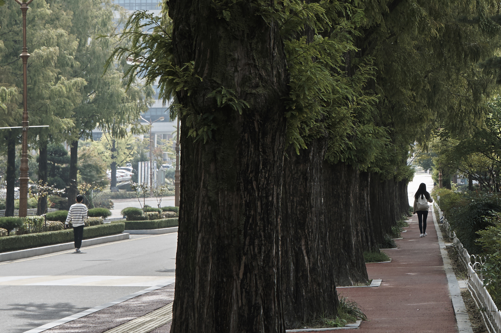 Sony FE 28mm F2 sample photo. Man and woman photography