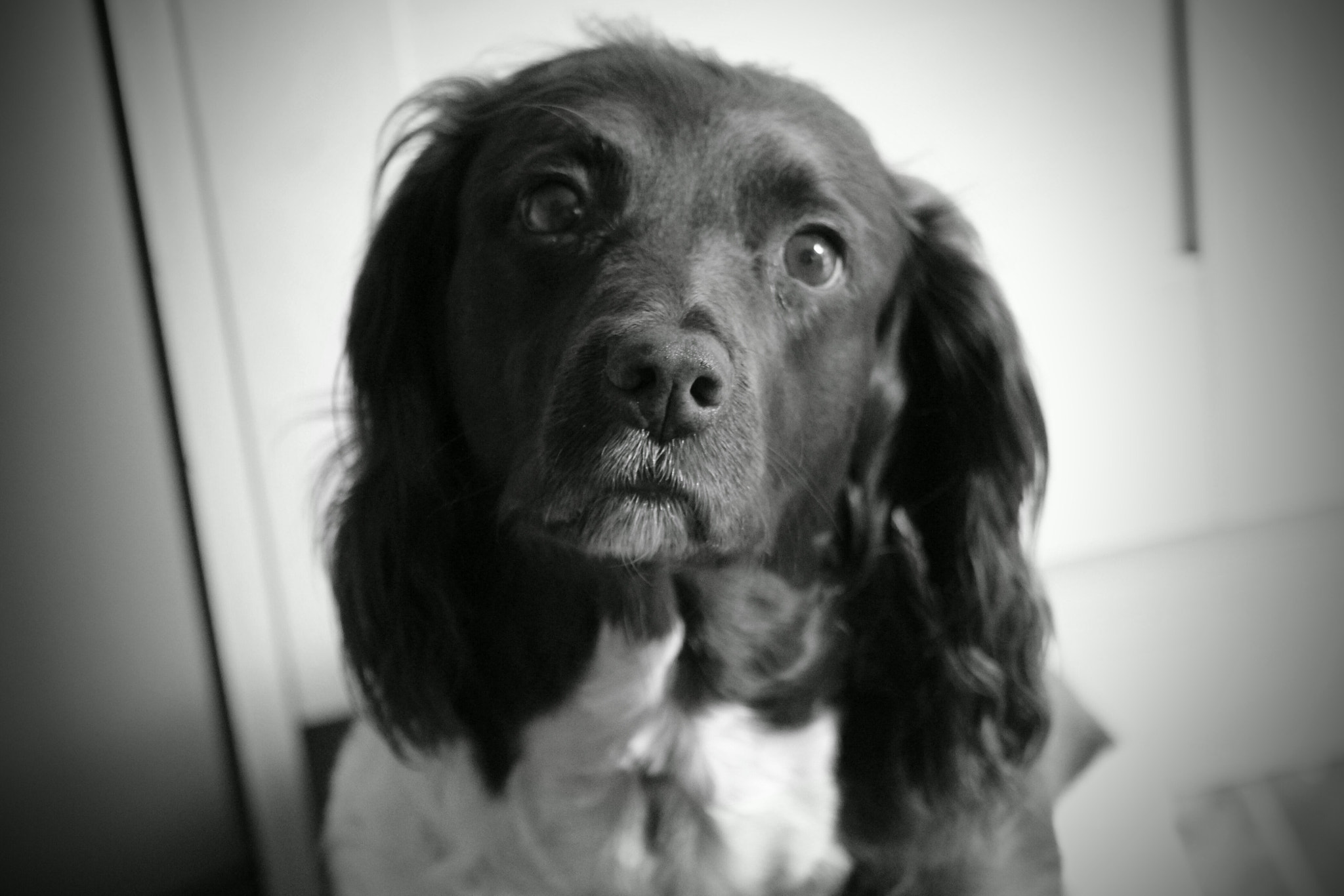 Canon EOS 650D (EOS Rebel T4i / EOS Kiss X6i) sample photo. Milly photography