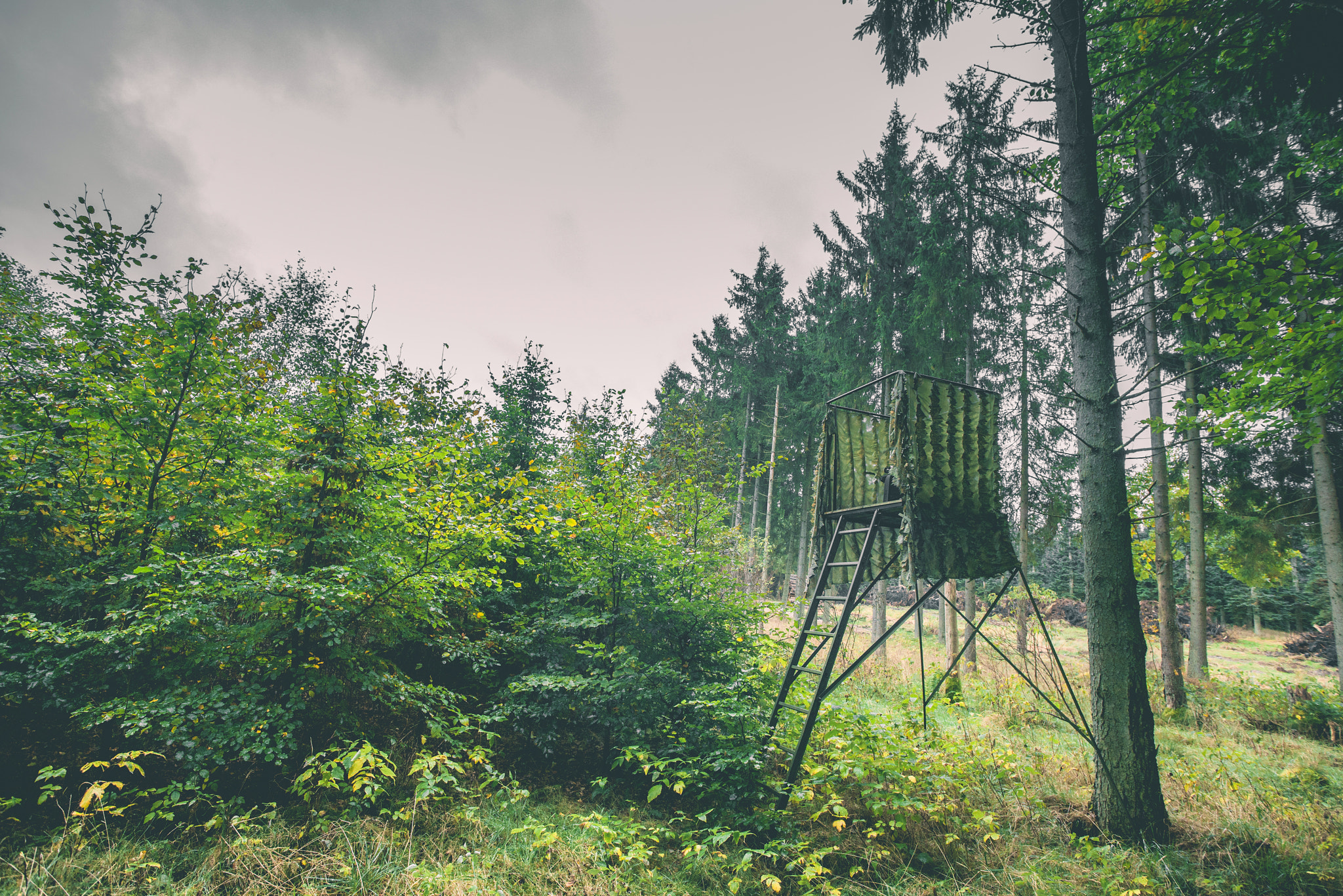 Sony Alpha DSLR-A900 + Sony Vario-Sonnar T* 16-35mm F2.8 ZA SSM sample photo. Hunting tower in green camoflage photography