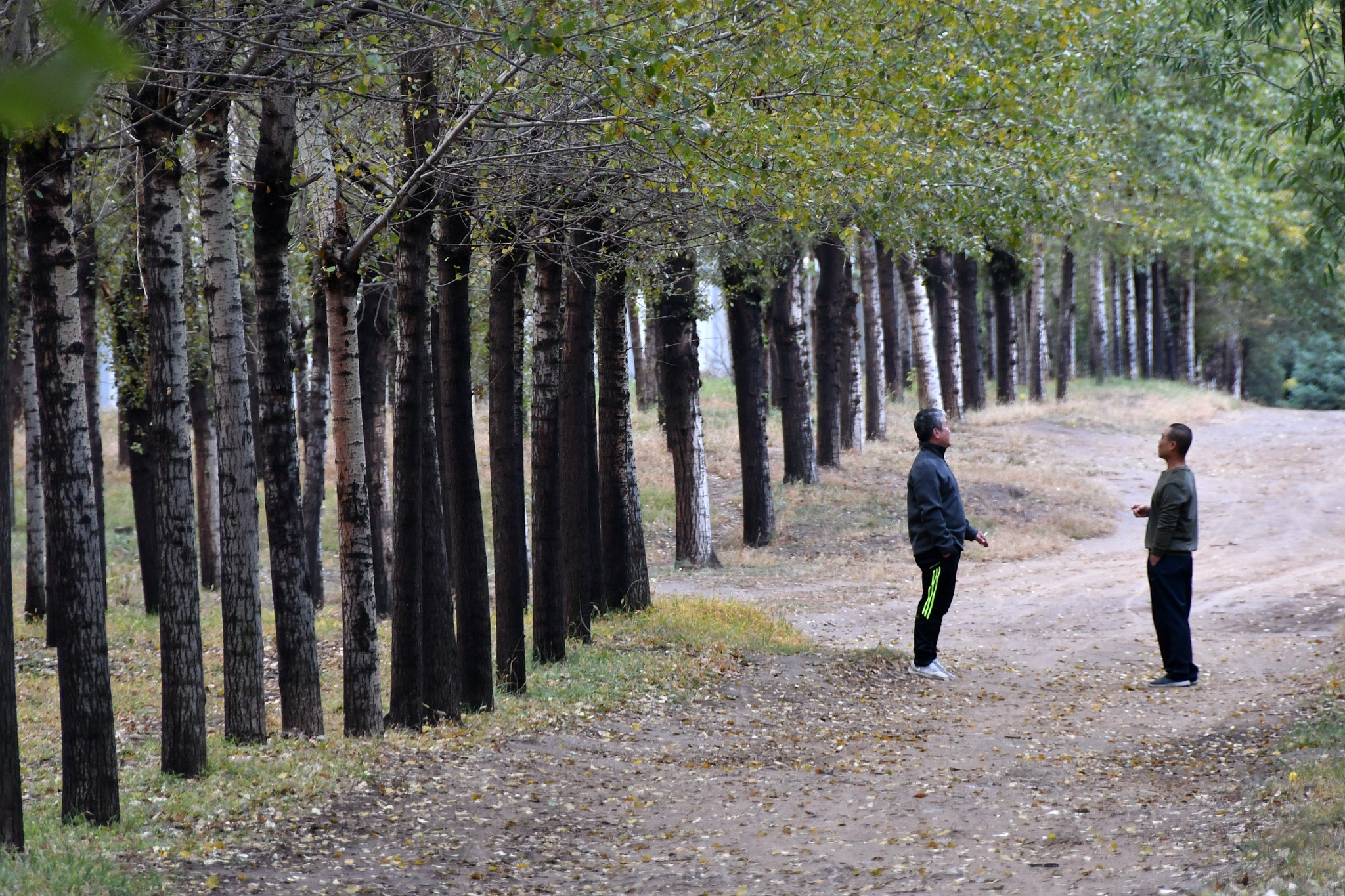 Nikon D500 sample photo. Talk photography