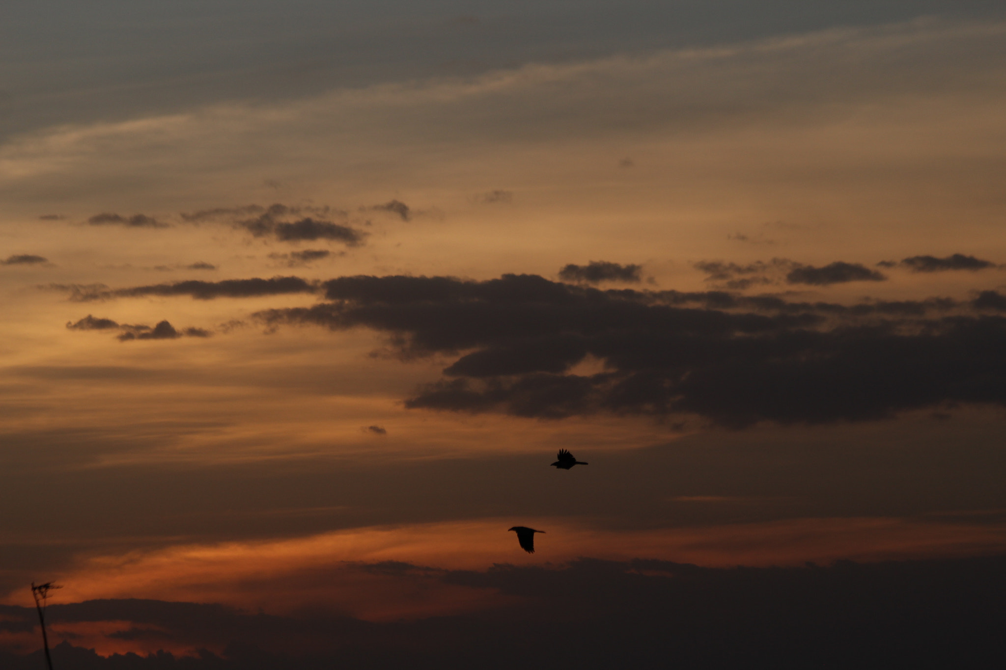 Canon EF 70-300mm F4-5.6 IS USM sample photo
