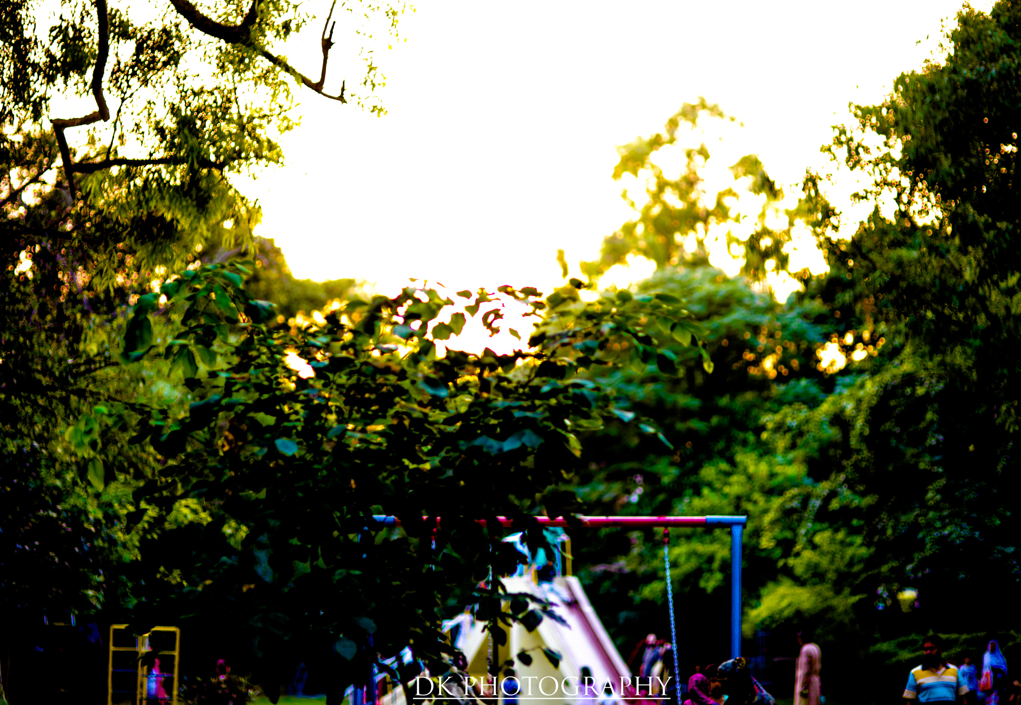 Sigma 85mm F1.4 EX DG HSM sample photo. Rough photography